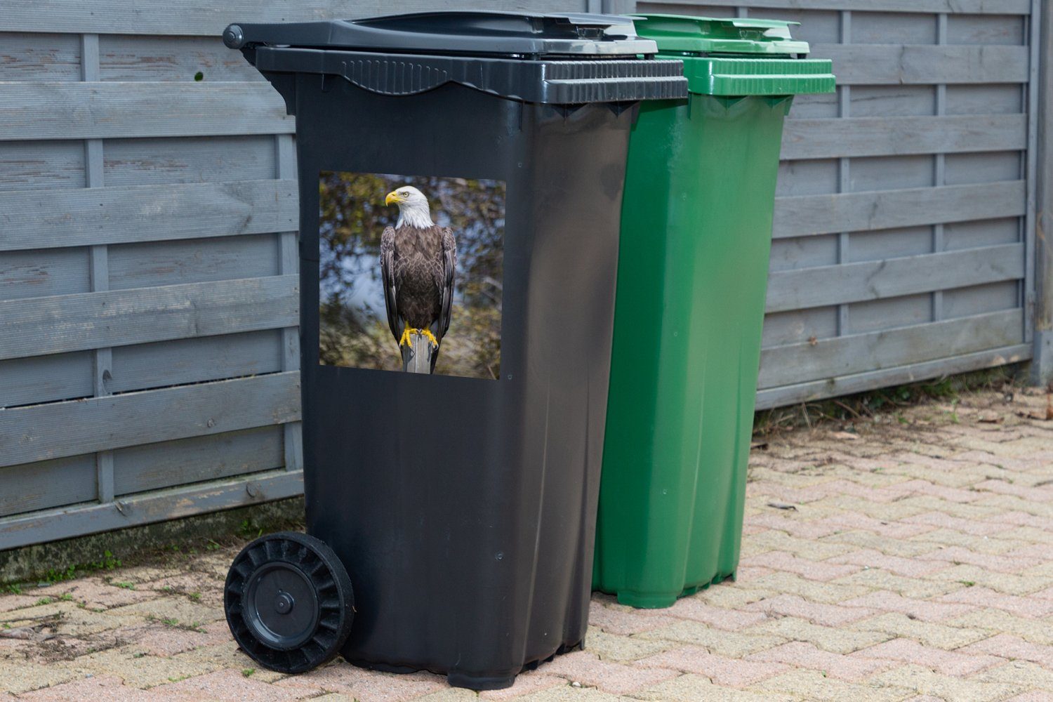 MuchoWow Weißkopfseeadler Container, Abfalbehälter Mülleimer-aufkleber, Wandsticker Stange Sticker, Ein St), schaut einer auf zur Seite Mülltonne, (1