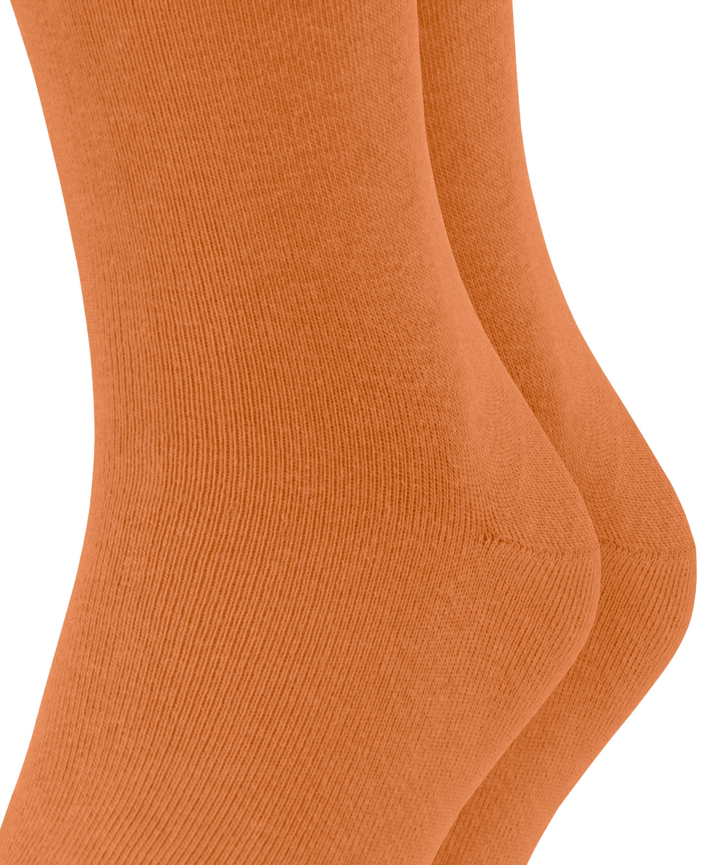 Esprit Basic Uni 2-Pack Socken mit hohem Baumwollanteil (2-Paar) mit hohem Baumwollanteil