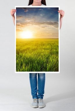 Sinus Art Poster Landschaftsfotografie 60x90cm Poster Saftiges Grasfeld am Abend