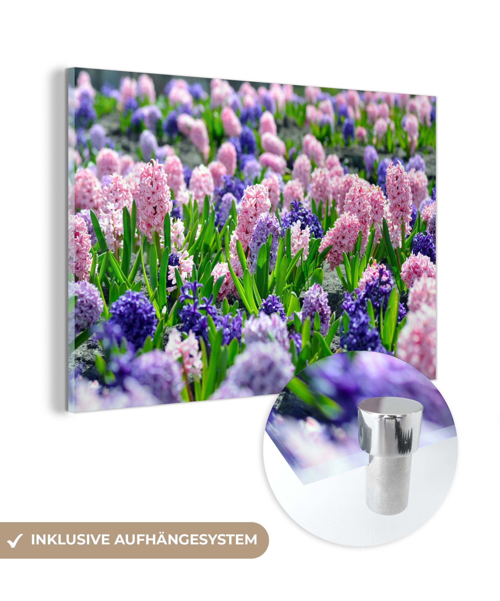MuchoWow Acrylglasbild Hyazinthe - Wohnzimmer (1 - Acrylglasbilder & Farben St), Schlafzimmer Frühling