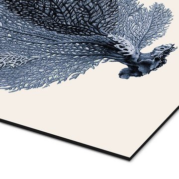 Posterlounge Alu-Dibond-Druck Patruschka, Blaue Koralle, Fächer, Wohnzimmer Skandinavisch Illustration