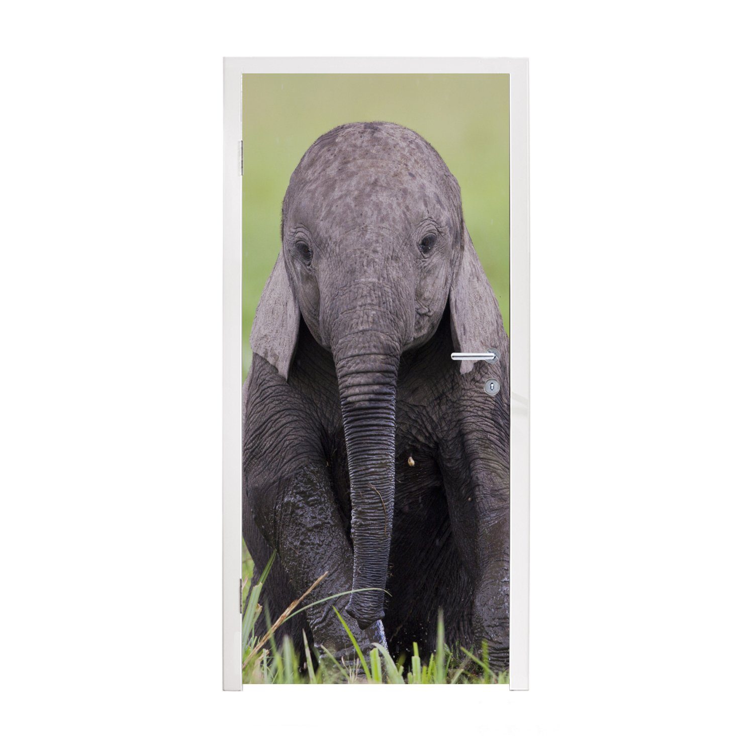 MuchoWow Türtapete Elefant - Baby - Tiere - Gras - Natur, Matt, bedruckt, (1 St), Fototapete für Tür, Türaufkleber, 75x205 cm
