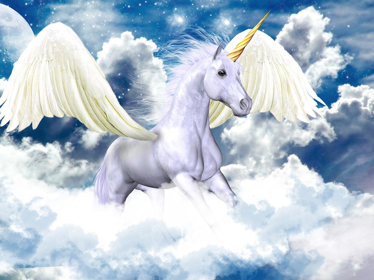 Einhorn Pegasus Fototapete Papermoon