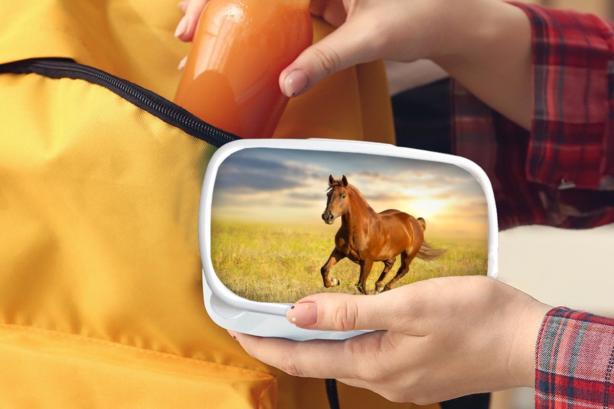 Kinder Lunchbox Pferd (2-tlg), und Brotdose, Erwachsene, für - Mädchen weiß Tier, Gras Brotbox Sonne - Jungs - MuchoWow Kunststoff, für und