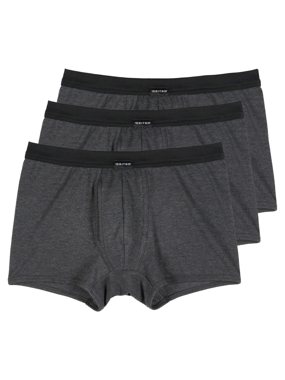 Retro Pants 3er Pack Pants mit Eingriff cotton mix