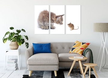 Pixxprint Leinwandbild Katze und Maus Freunde, Katze und Maus Freunde 3Teiler (120x80cm) (1 St), Leinwandbild fertig bespannt, inkl. Zackenaufhänger