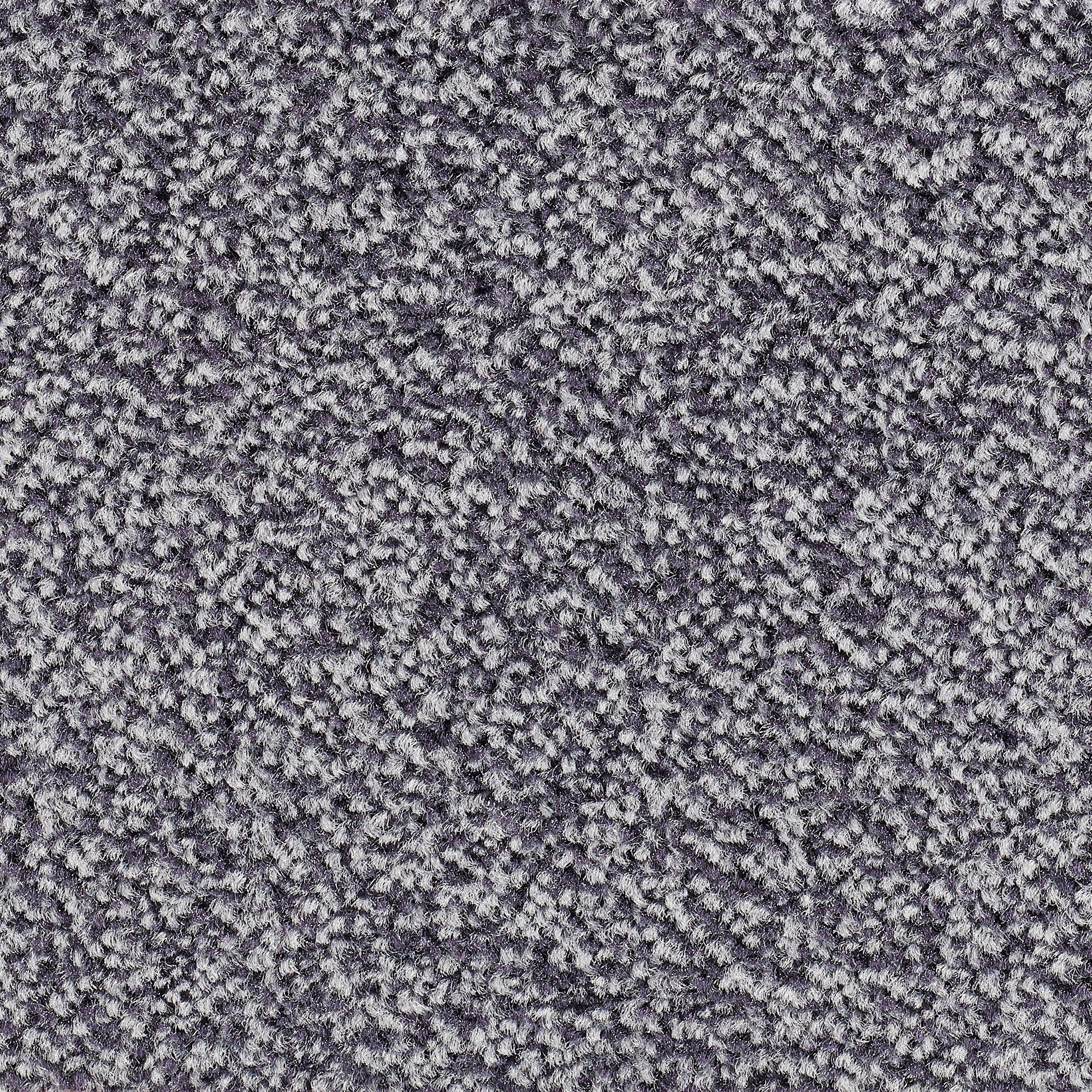 Teppichboden Veloursteppich Juno, Bodenmeister, rechteckig, Höhe: 8,5 mm, Wohnzimmer, Schlafzimmer, Kinderzimmer, Breite 400/500 cm lila