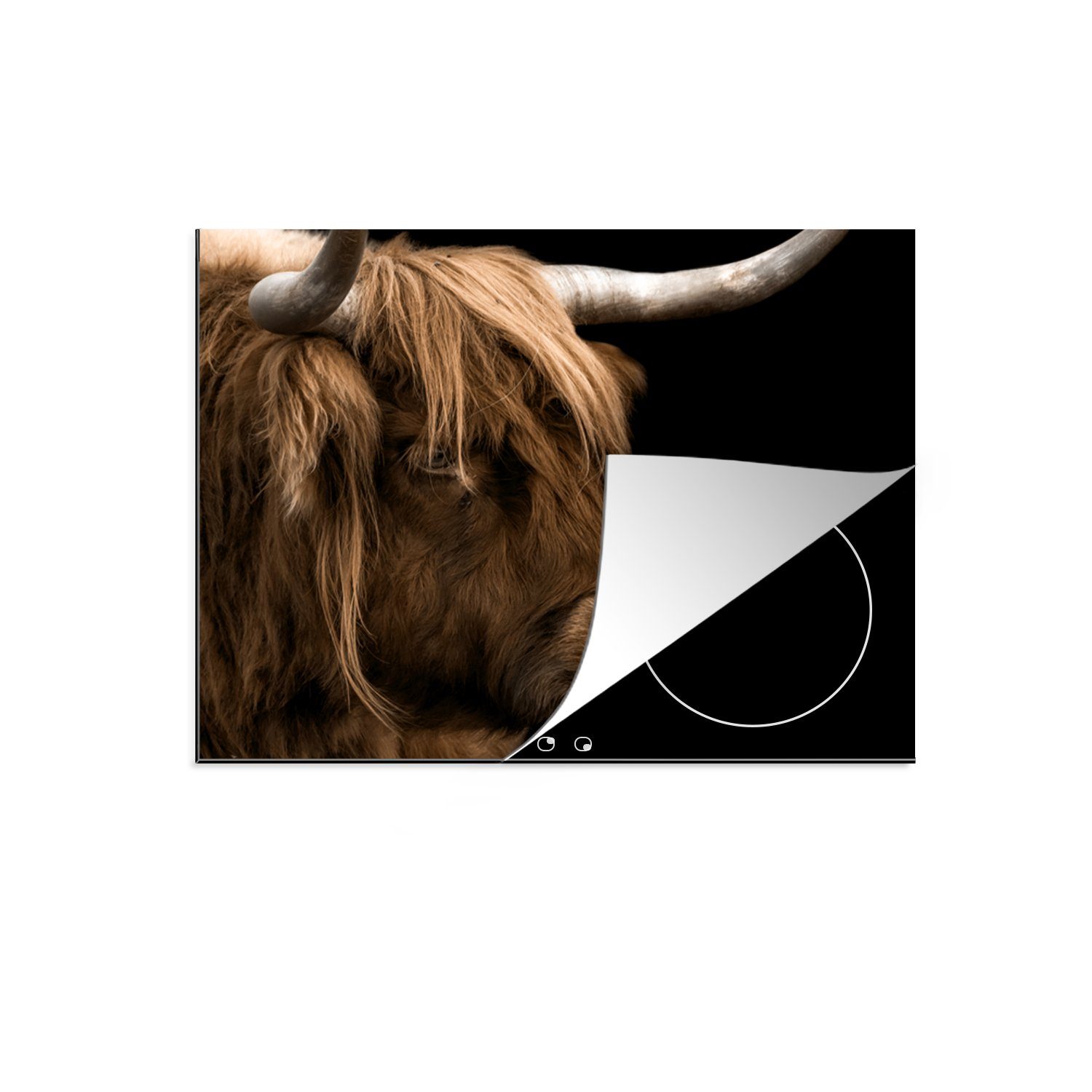 MuchoWow Herdblende-/Abdeckplatte Schottischer Highlander - Tiere - Schwarz, Vinyl, (1 tlg), 71x52 cm, Induktionskochfeld Schutz für die küche, Ceranfeldabdeckung