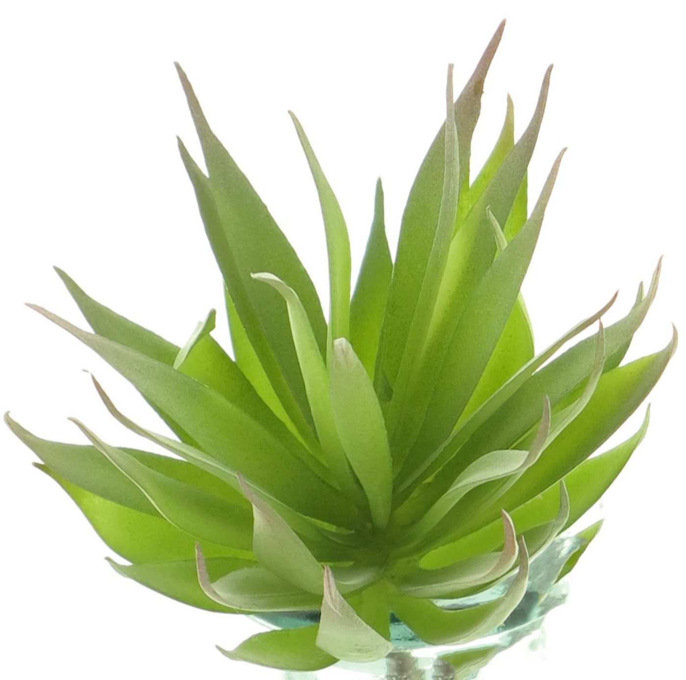 Kunstpflanze Kunst Sukkulente Agave decipiens DEYUNA auf Steckstab, grün, 18cm Agave (Agave decipiens), artplants, Höhe 18.0 cm