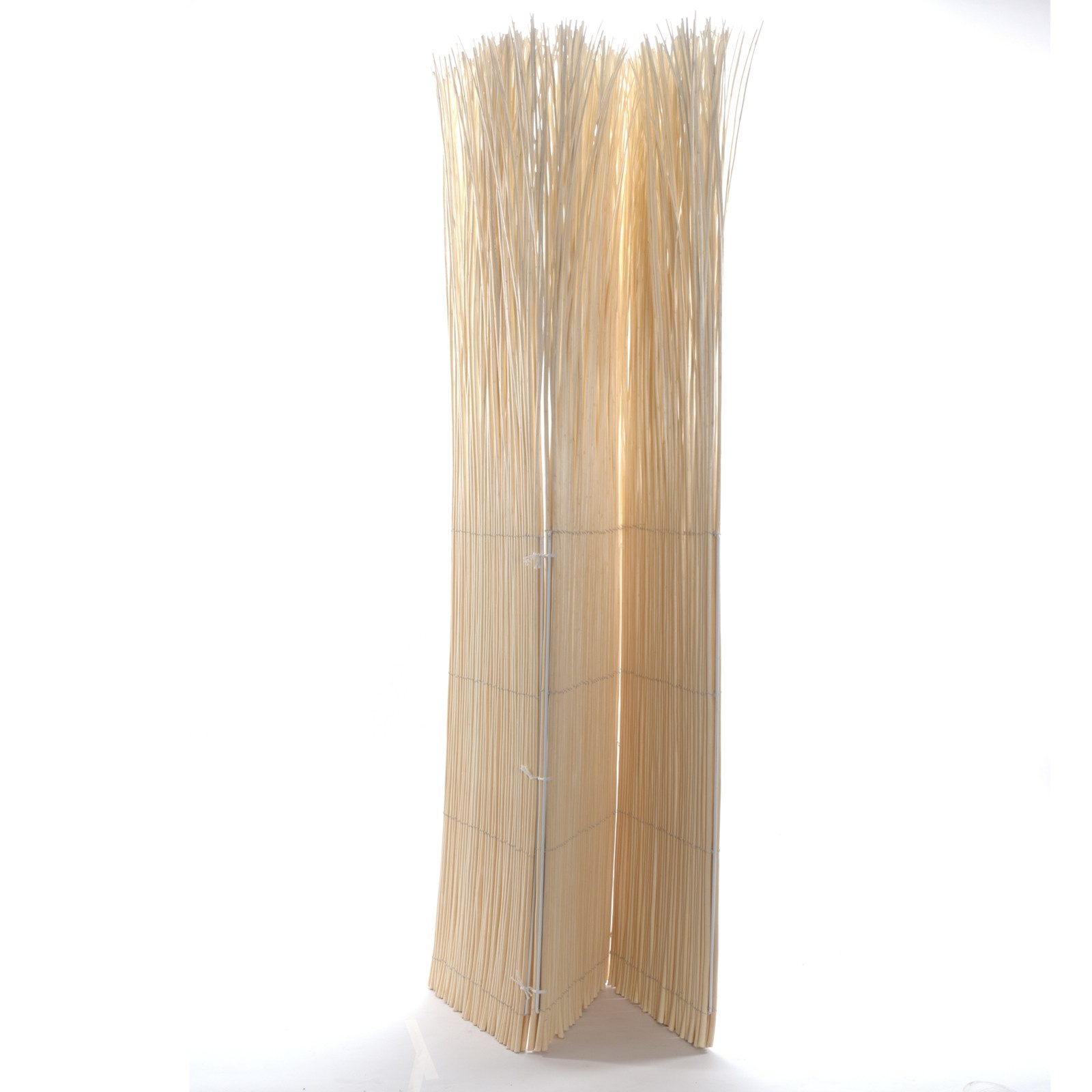 DESIGN DELIGHTS Paravent PARAVENT NATURE, 160X120CM(LXB), geblichen, heller Raumtrenner