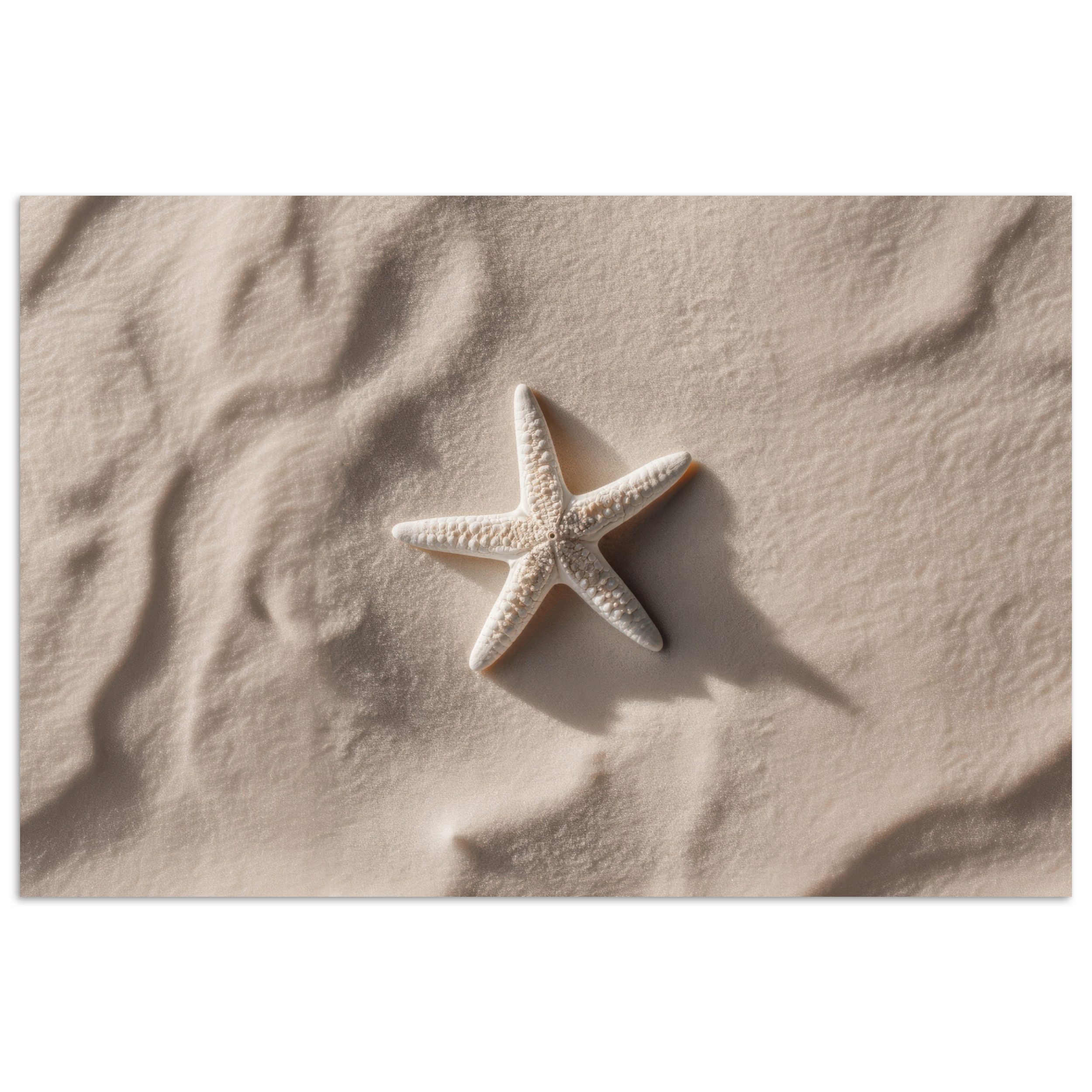 Poster Strand - Seestern - Sand - Beige