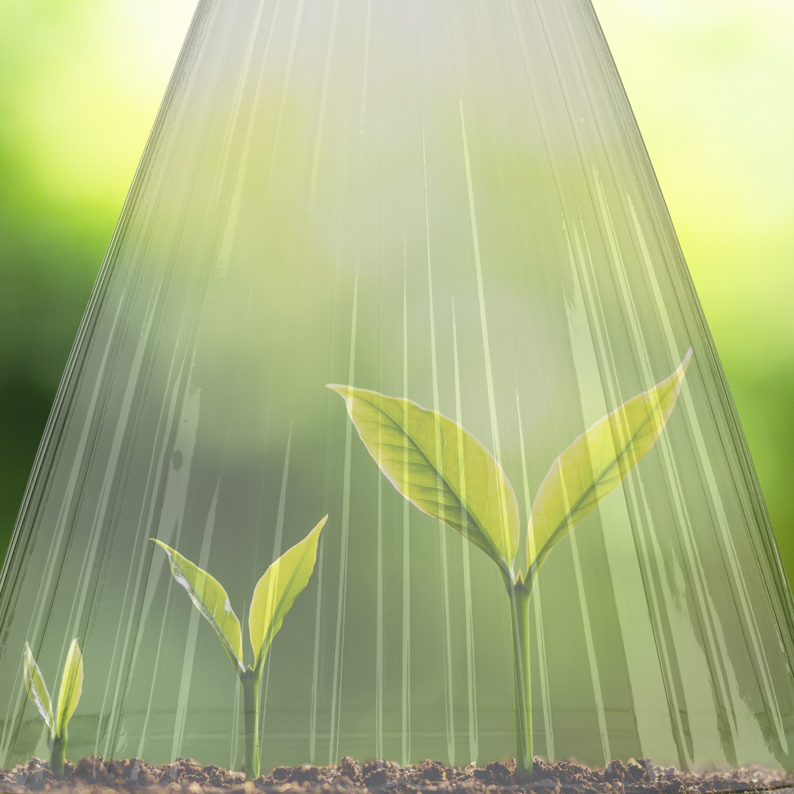 relaxdays Pflanzenschutzdach 20x Grauer Pflanzenhut