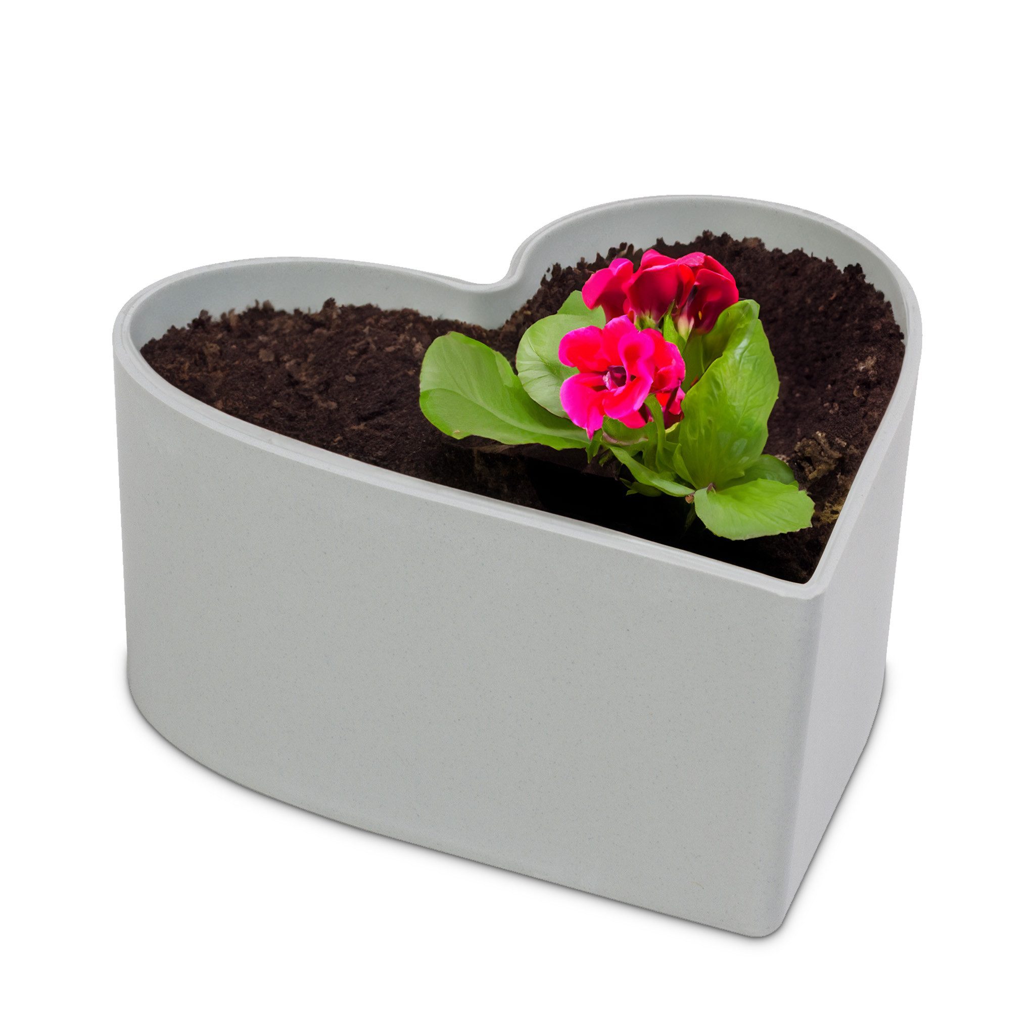 matches21 HOME & HOBBY Blumentopf Herz günstig online kaufen