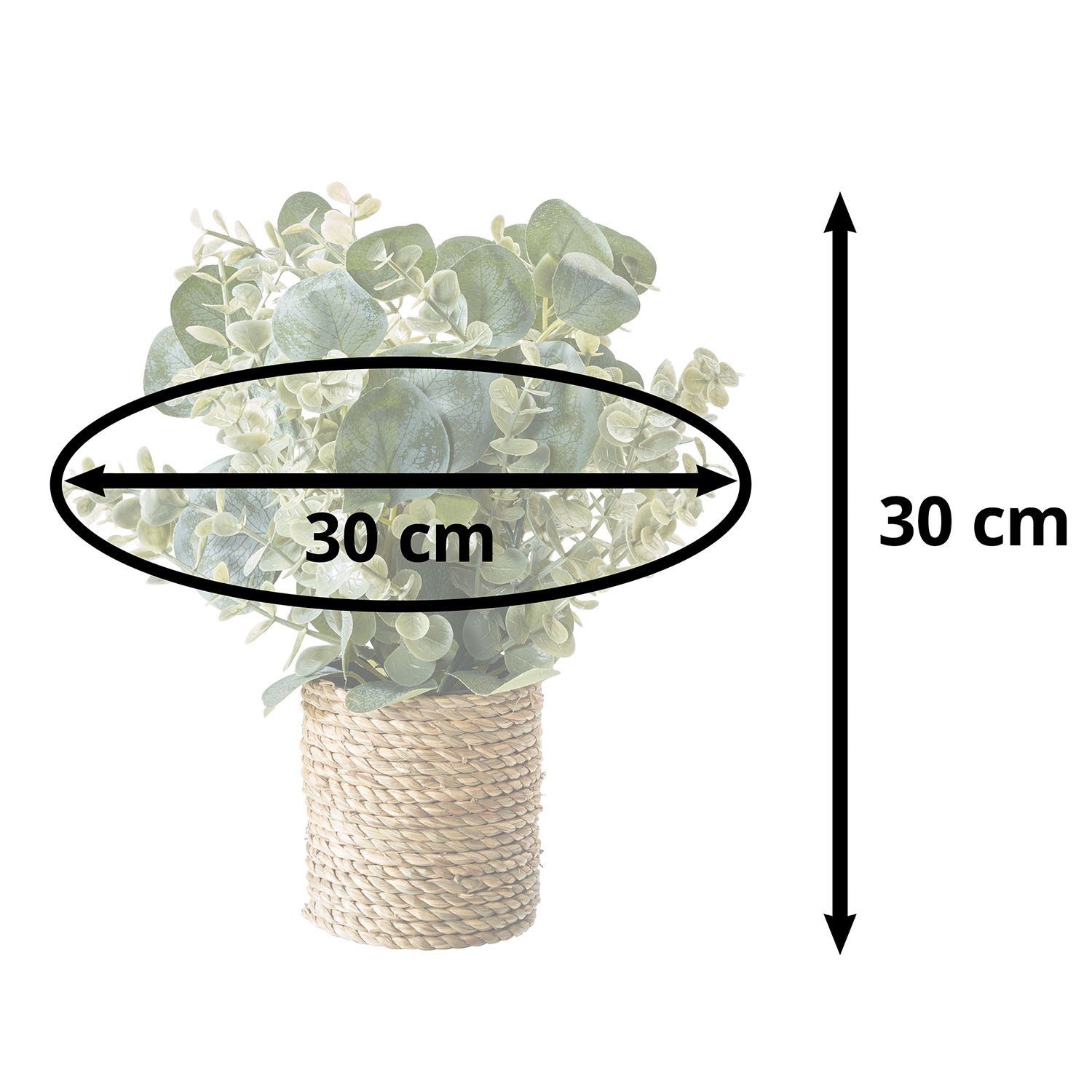 Pflanzen, Kunstpflanze Dekopflanze 30 cm home, Amare Höhe