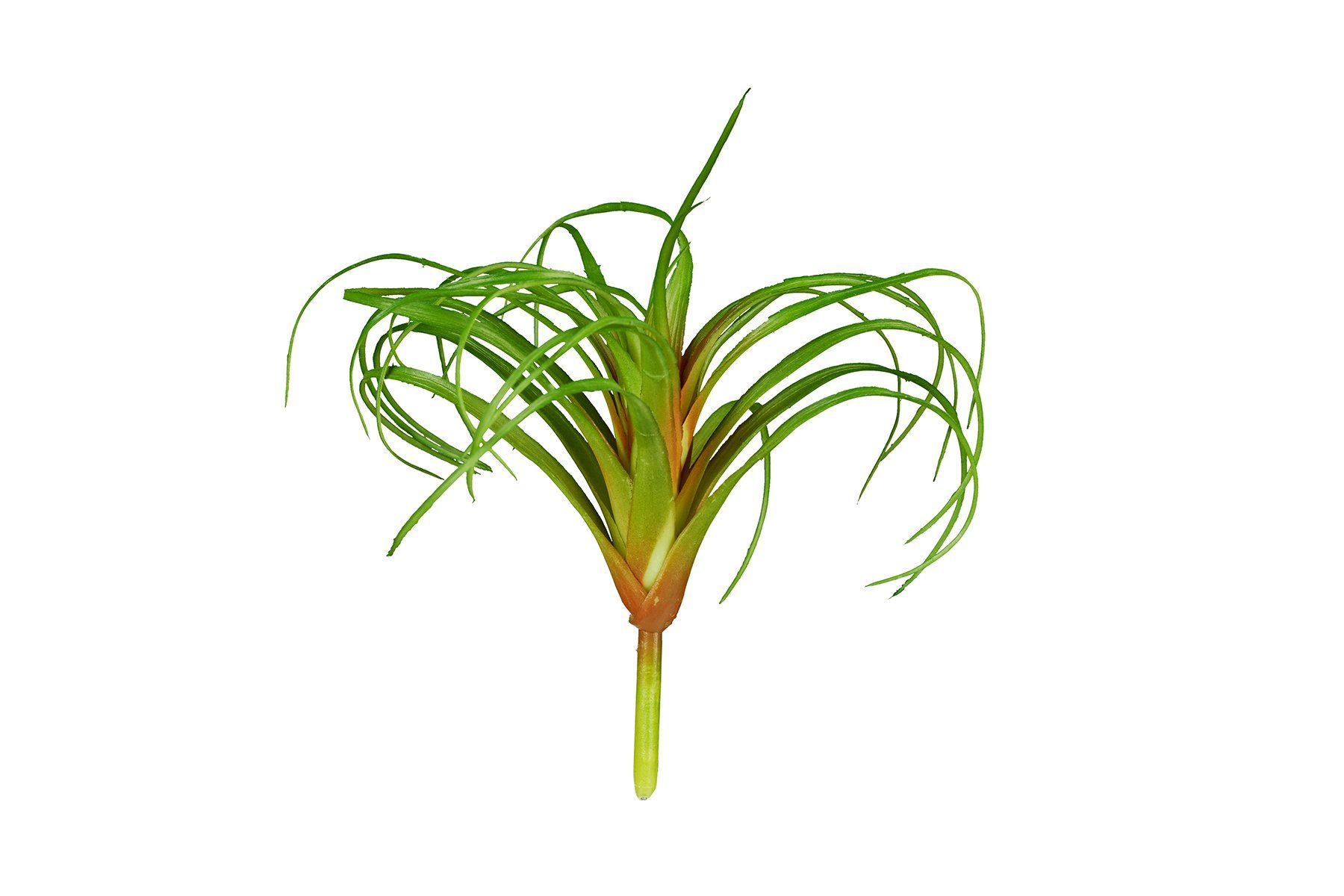 ReptiZoo Terrariendeko ReptiZoo Kunststoffpflanze (Tillandsia) ca. 20 cm TP060L, (1-tlg)