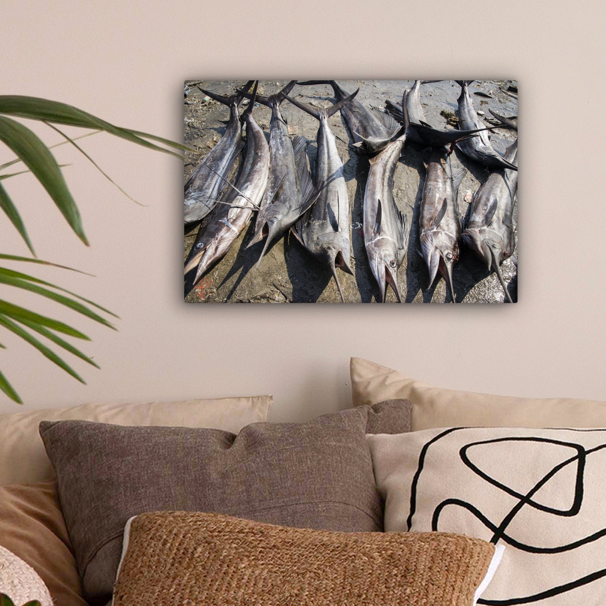 Leinwandbild (1 Wandbild von cm Wanddeko, Eine Schwertfischen, Leinwandbilder, St), Aufhängefertig, toten 30x20 Reihe OneMillionCanvasses®