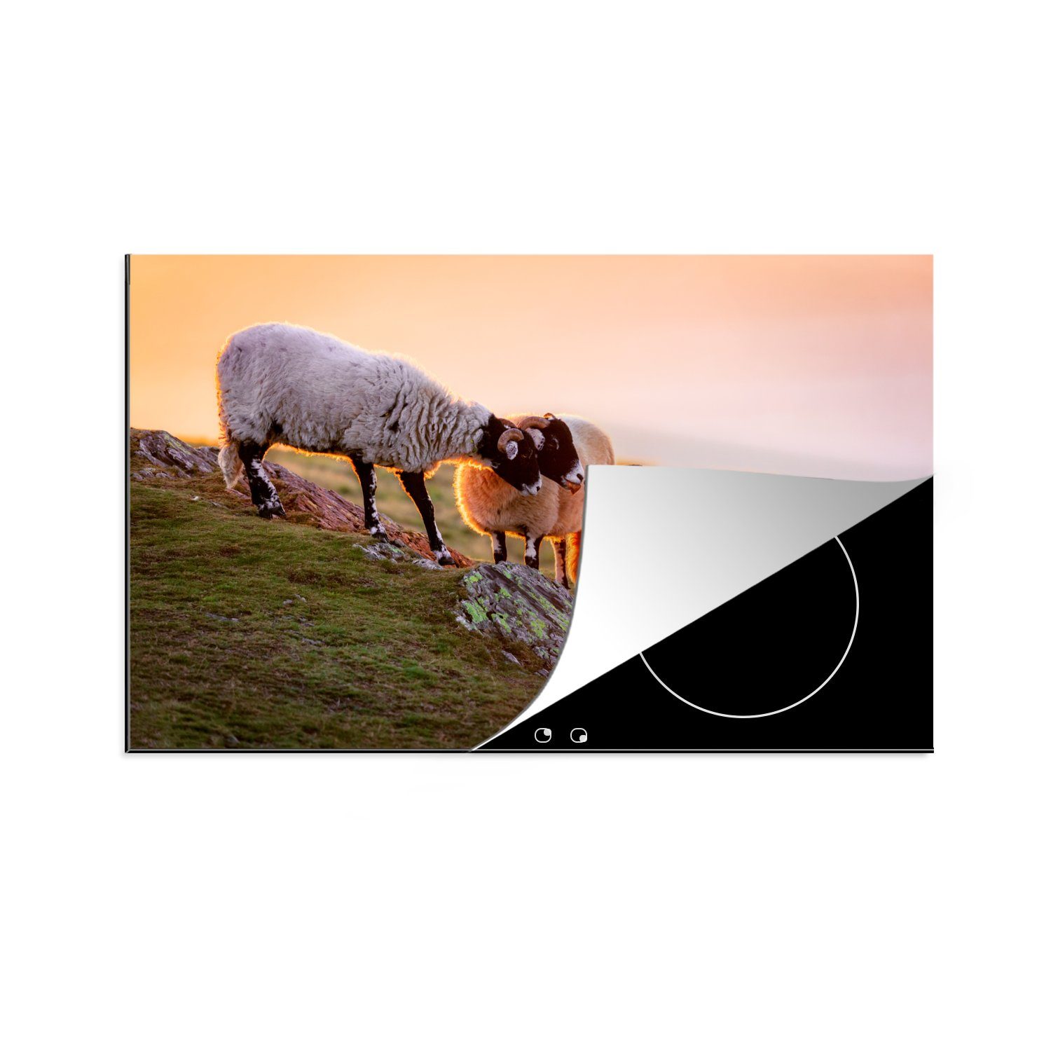 Tiere die tlg), Ceranfeldabdeckung küche, Schutz cm, - Induktionskochfeld für MuchoWow - Schafe 81x52 Herdblende-/Abdeckplatte Vinyl, (1 Sonnenuntergang,