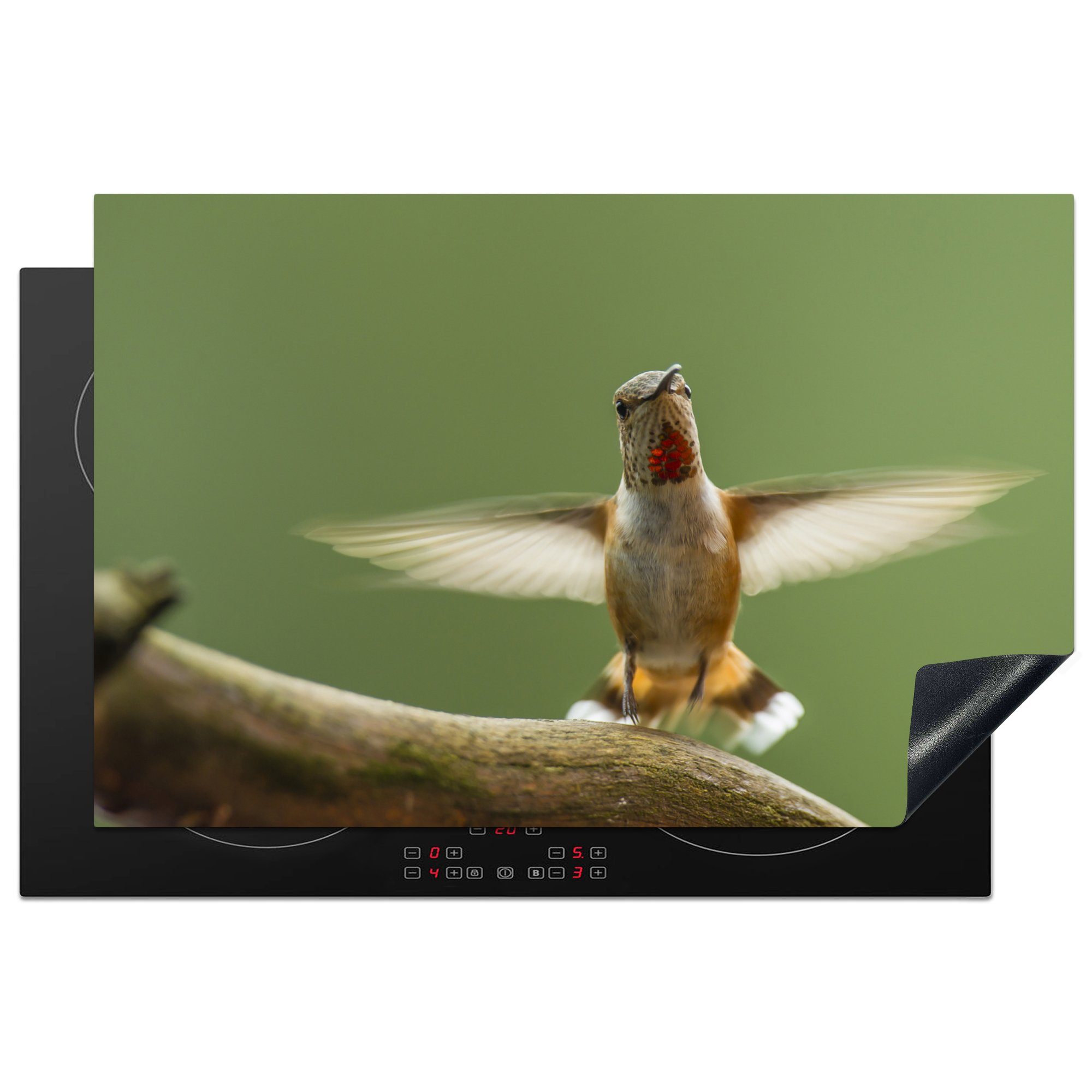 MuchoWow Herdblende-/Abdeckplatte Kolibri - Vogel - Baum, Vinyl, (1 tlg), 81x52 cm, Induktionskochfeld Schutz für die küche, Ceranfeldabdeckung