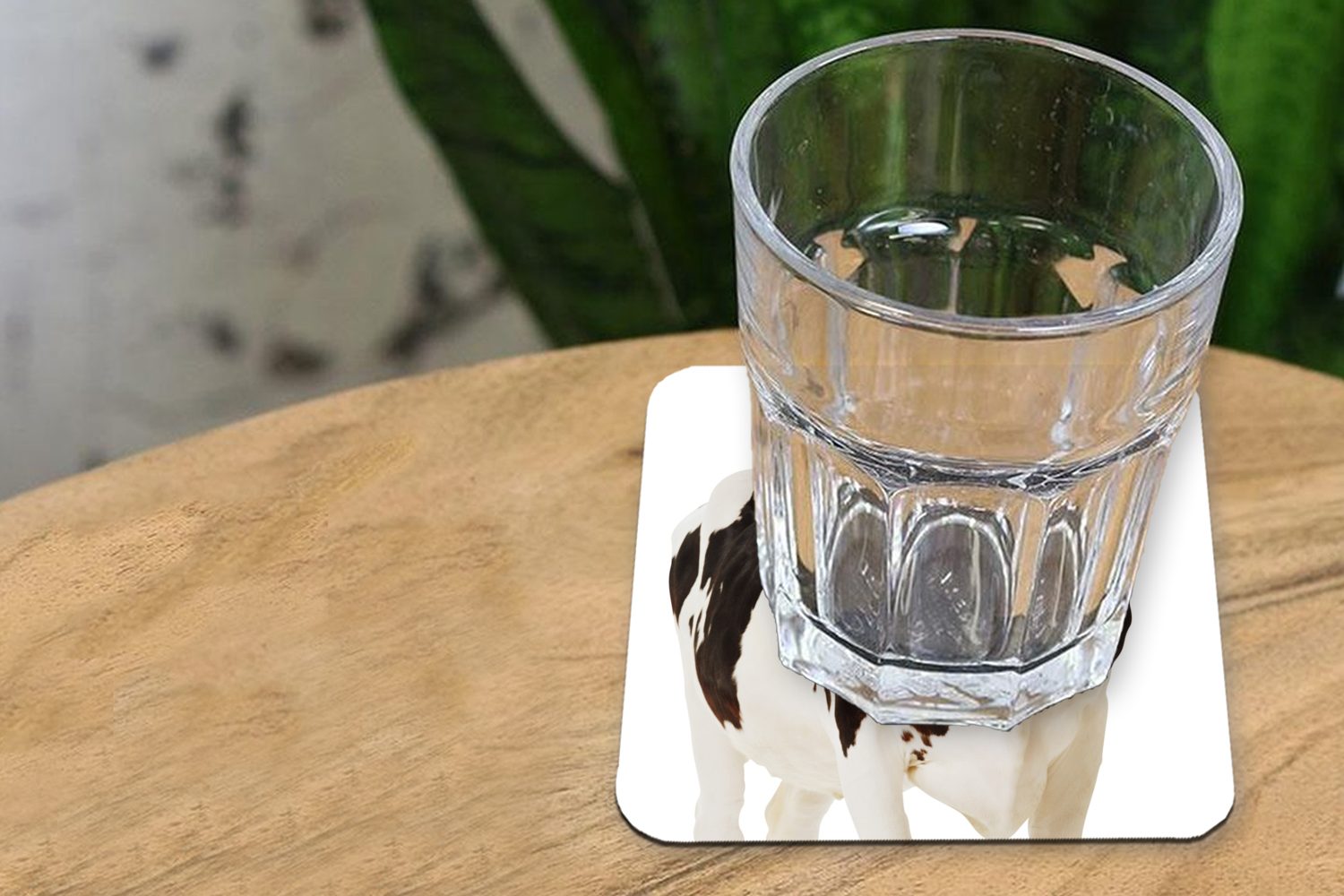 Glasuntersetzer Tiere, MuchoWow Tasse Weiß Kuh Korkuntersetzer, 6-tlg., Glasuntersetzer, für Tischuntersetzer, - Untersetzer, Schwarz - - Zubehör Gläser,