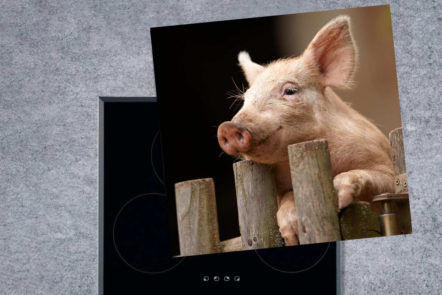 MuchoWow Herdblende-/Abdeckplatte Schwein - tlg), für Zaun, küche - (1 cm, 78x78 Tier Ceranfeldabdeckung, Vinyl, Arbeitsplatte