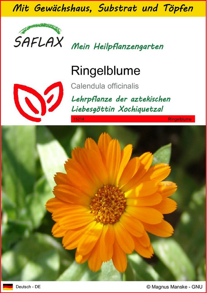 SAFLAX Blumensamen SAFLAX - Anzuchtset - Ringelblume