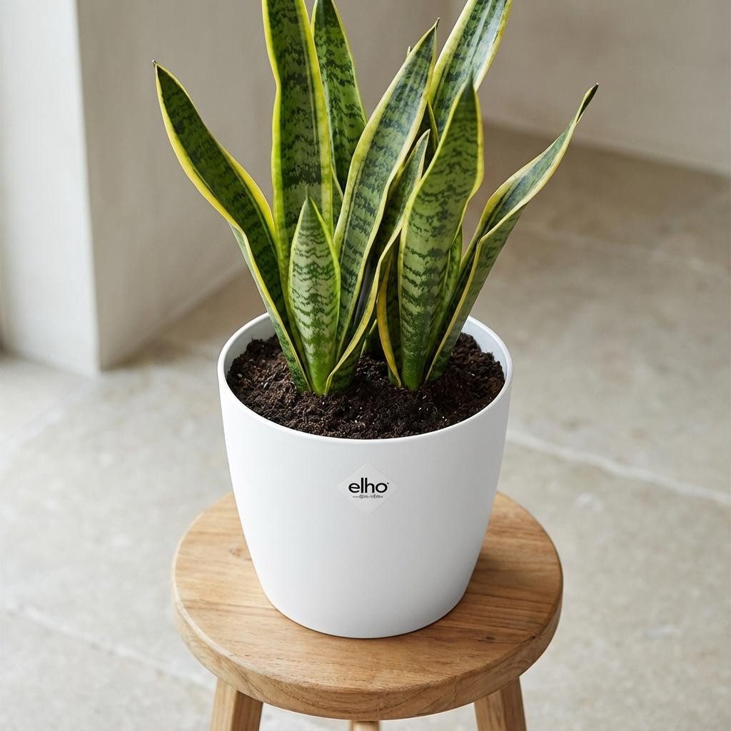 Florora Blumentopf ELHO Brussels rund 18cm Weiß - Blumentopf - D18 x H17 – Topf 18 cm