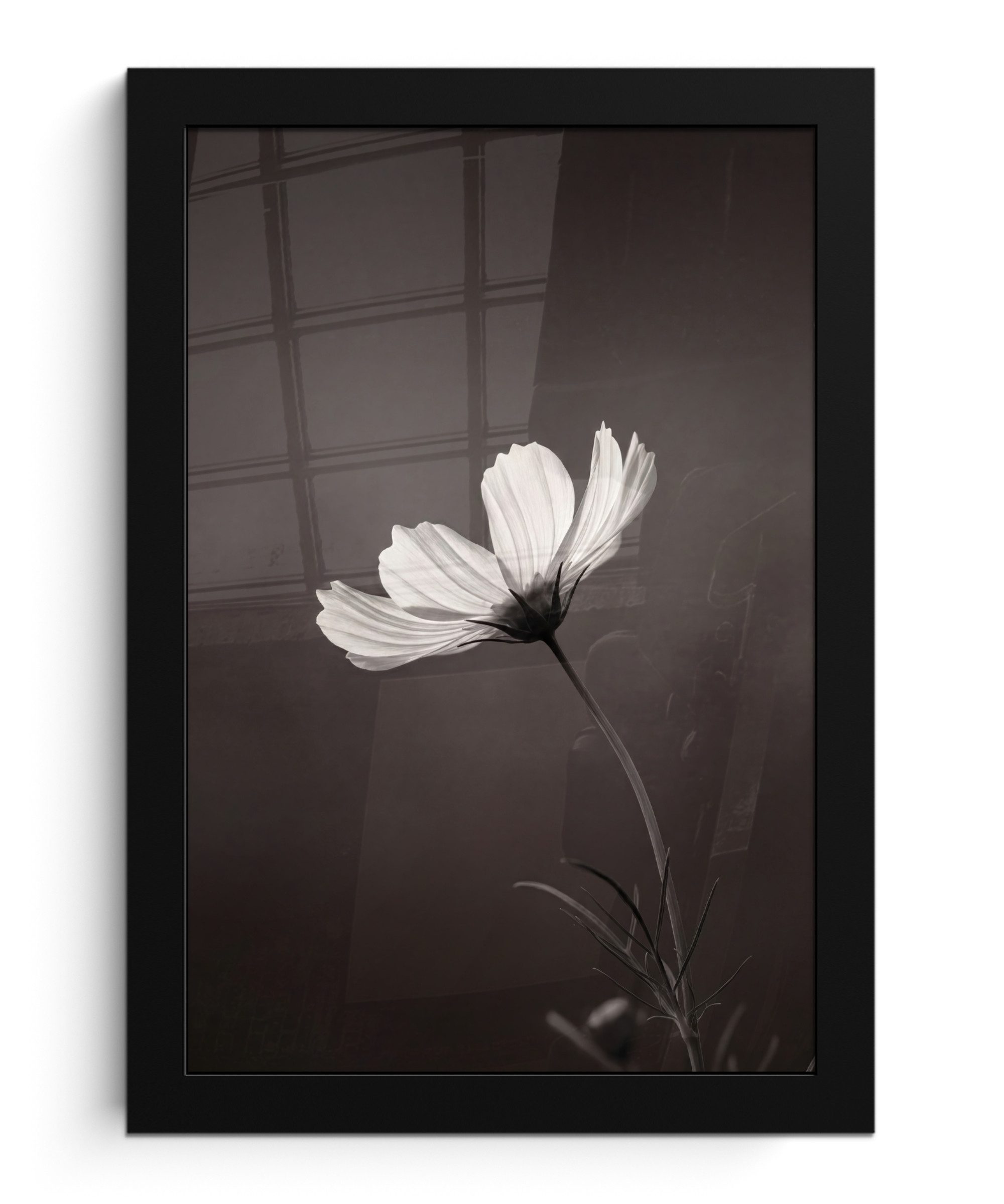 MuchoWow Poster Blume - Minimalistisch - Schwarz - Weiß, (1 St), Bilderrahmen, Zimmer Deko, Bild für Wohnzimmer, 20x30 cm