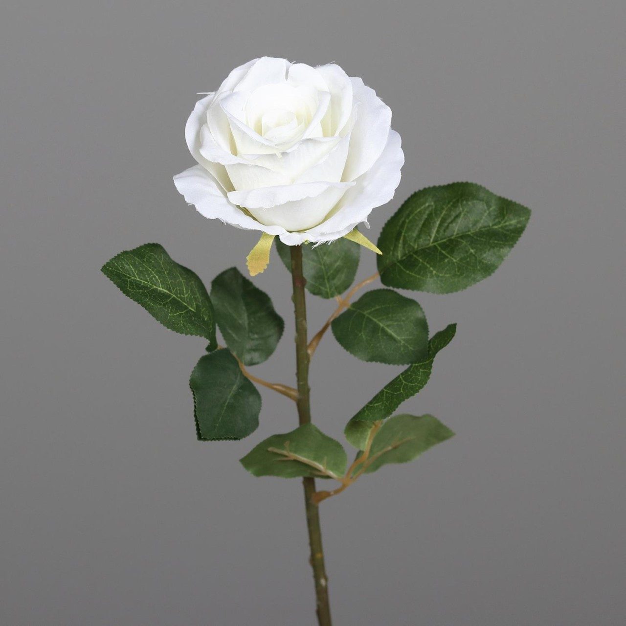 Kunstblume, DPI, Höhe 48 cm, Weiß H:48cm D:10cm Kunststoff