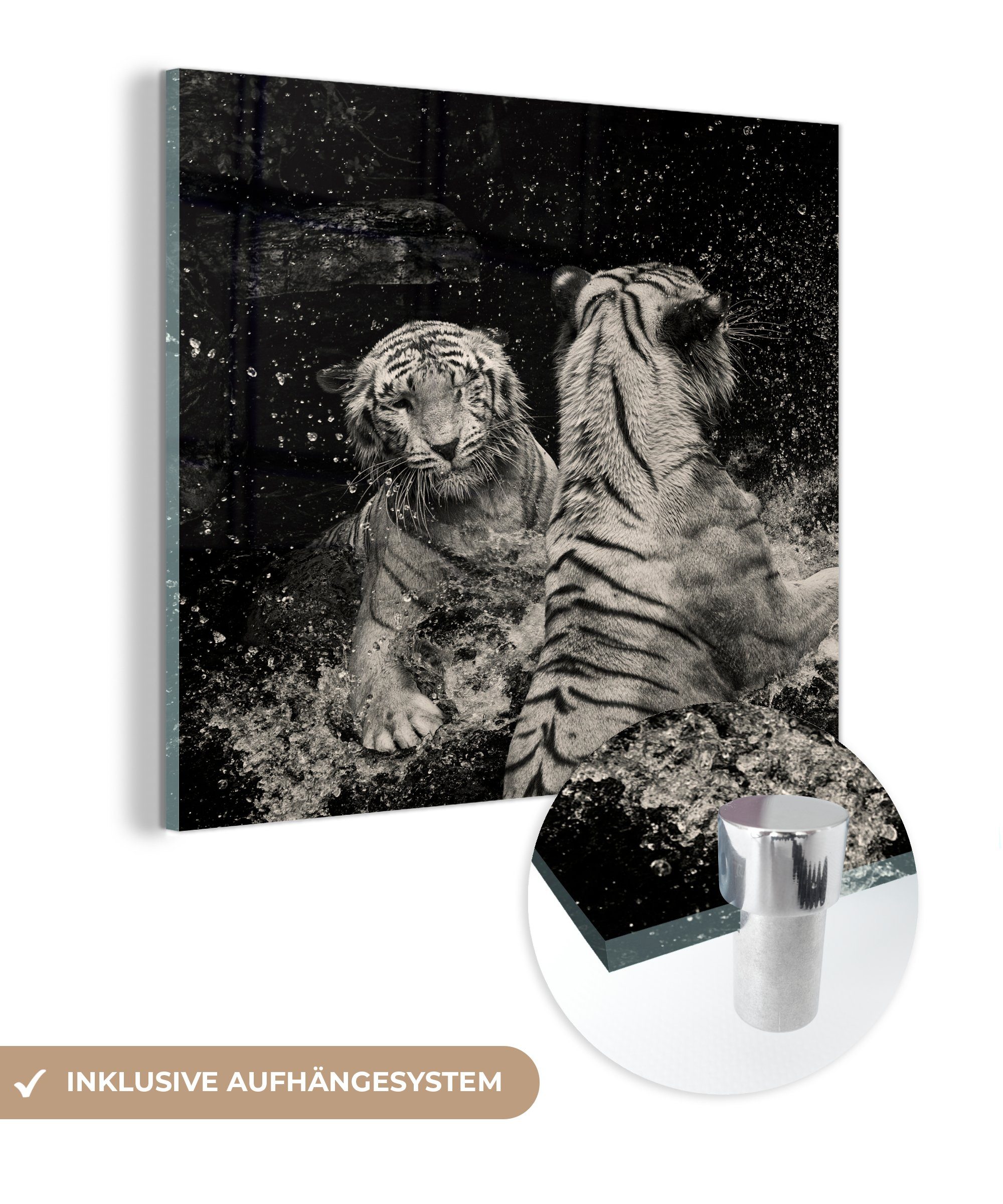 MuchoWow Acrylglasbild Tiger - Wasser - Wild, (1 St), Glasbilder - Bilder auf Glas Wandbild - Foto auf Glas - Wanddekoration