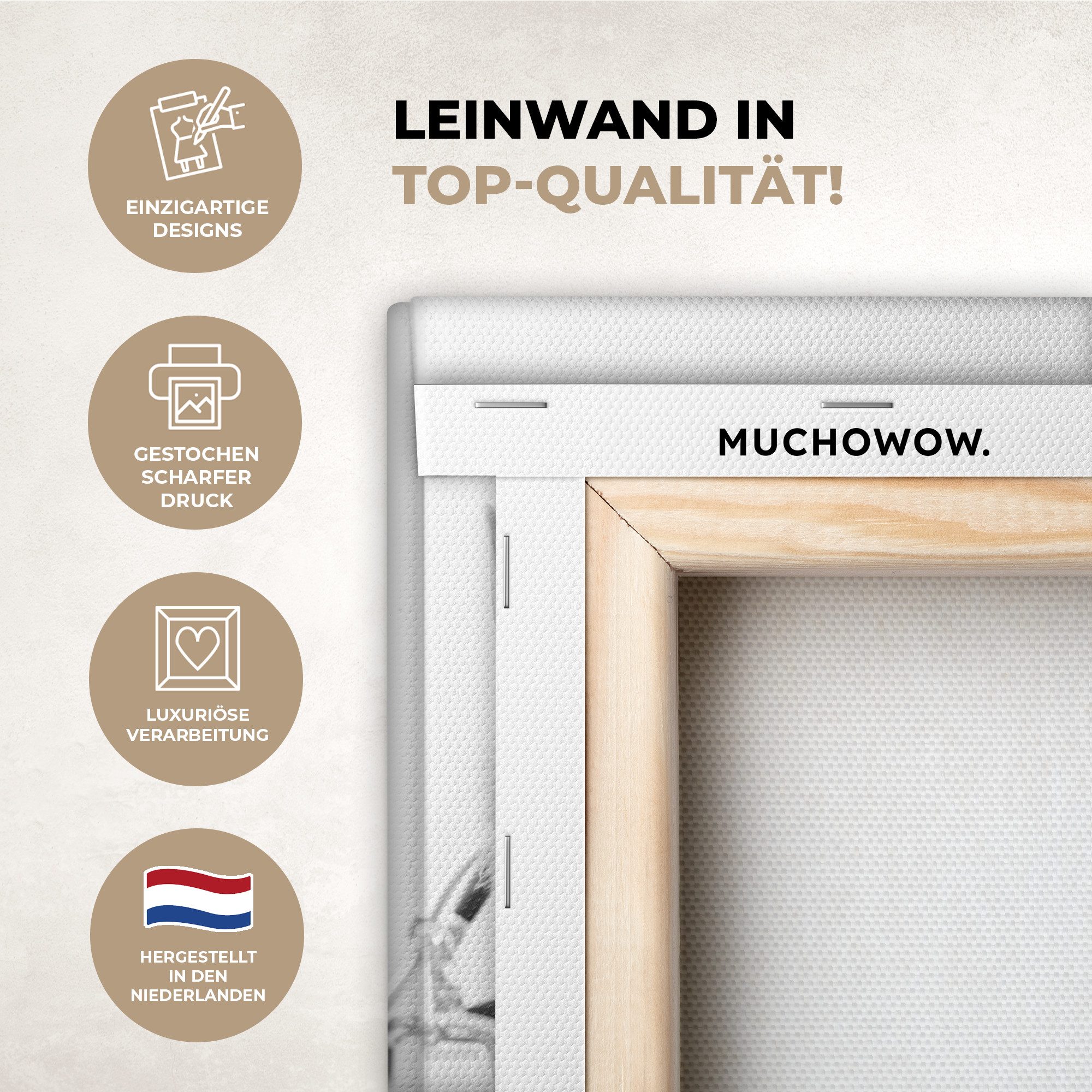 OneMillionCanvasses® Leinwandbild Highlander - Kuh - günstig online kaufen