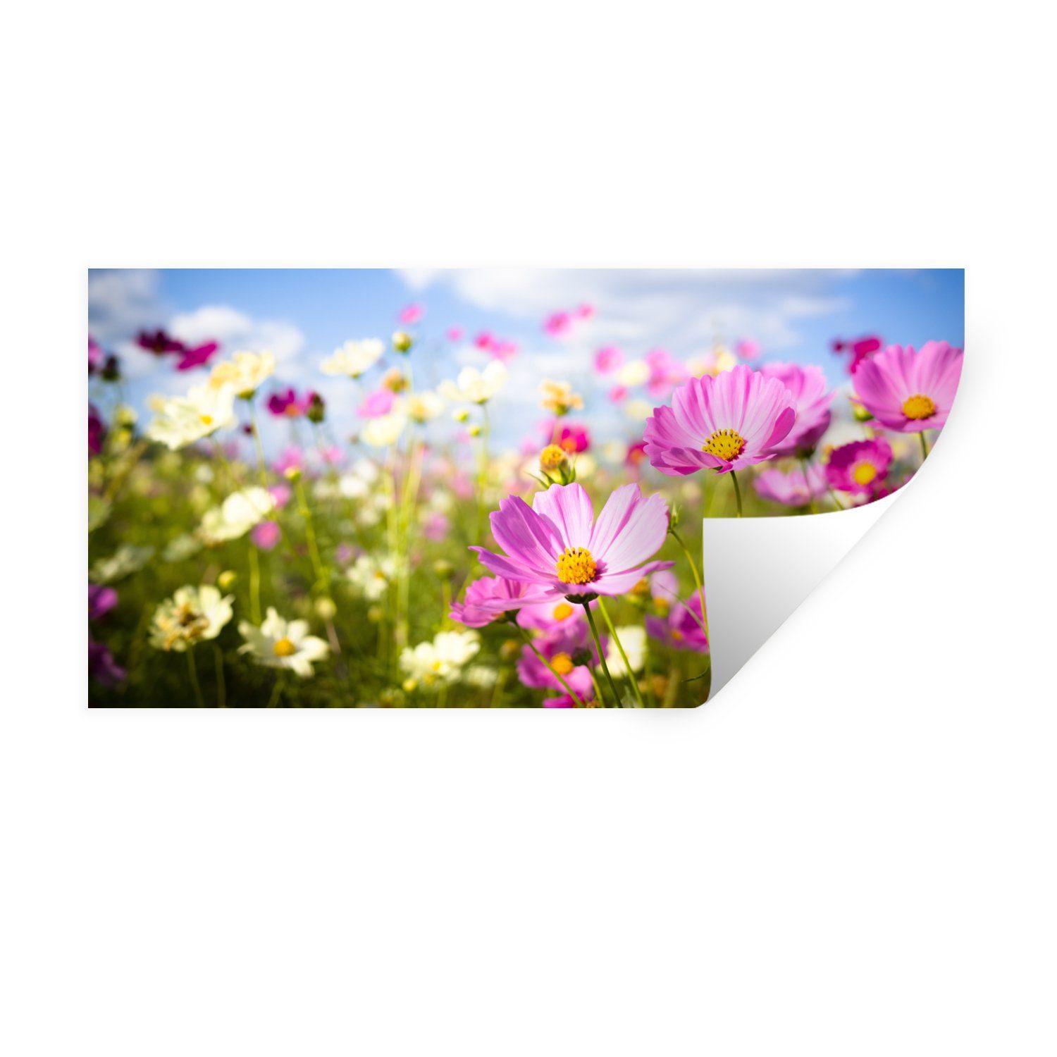 MuchoWow Wandsticker Blumen - Wiese - Lila - Gras - Weiß - Wolken - Blau (1 St), Wandaufkleber, Repositionierbar, Wandtattoo, Selbstklebend, Sticker