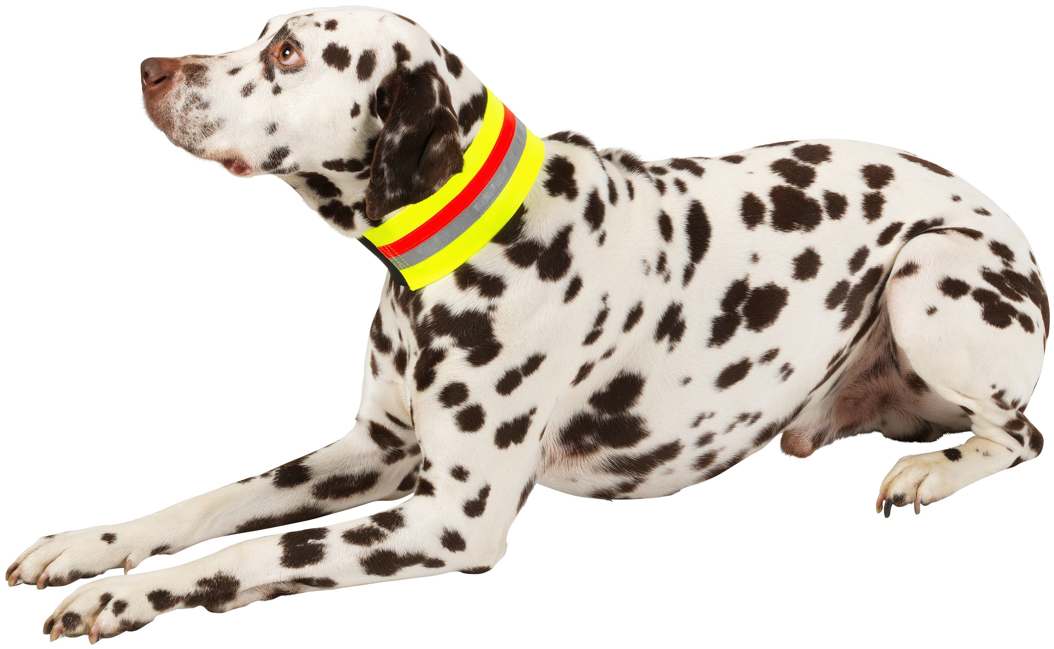 HEIM Hunde-Halsband »Signalhalsband«, Textil | OTTO