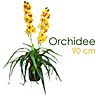 Orchidee Modell 4 / Höhe: ca. 90 cm