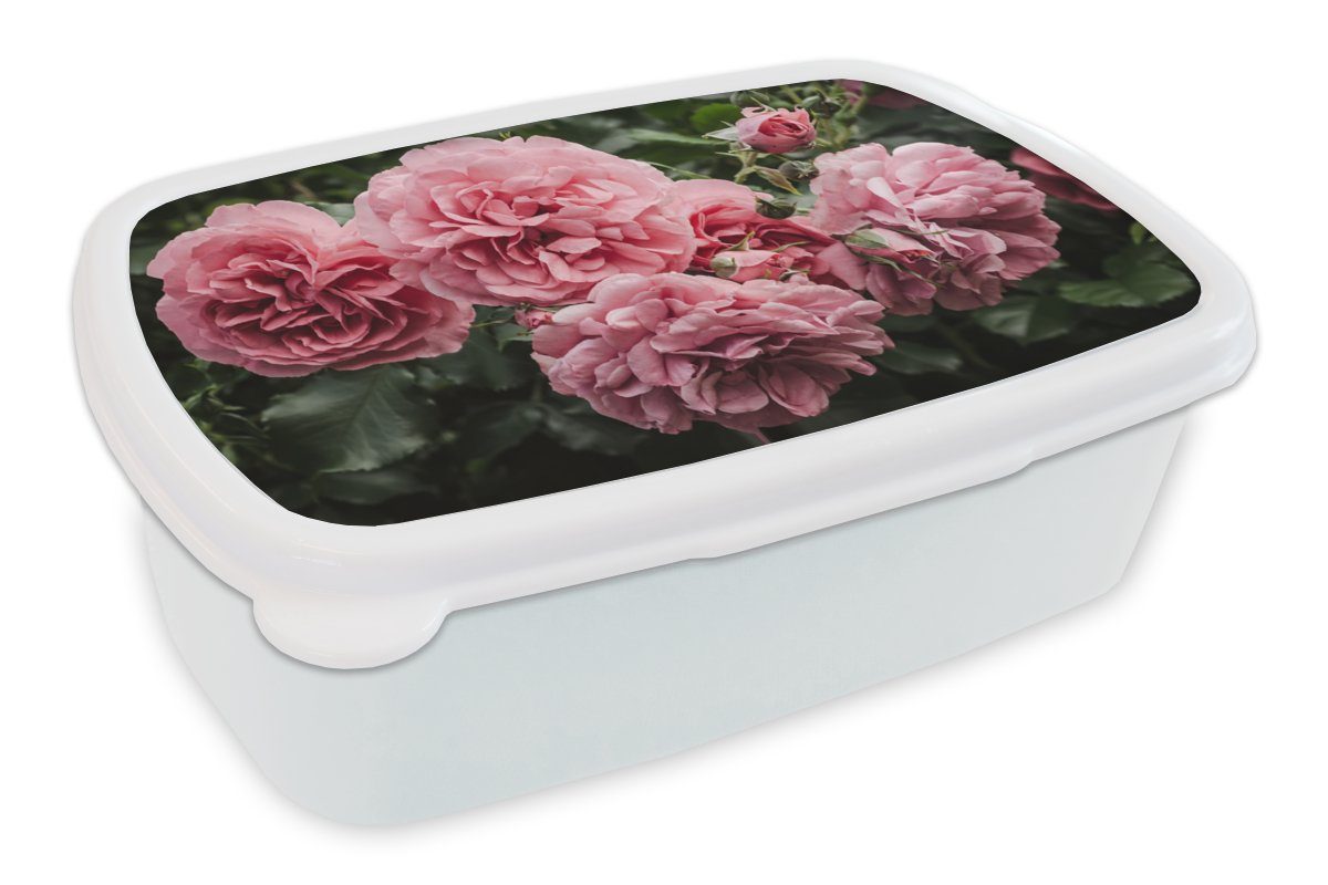 MuchoWow Lunchbox Rosa - Jungs weiß Brotbox für Blumen Erwachsene, und Mädchen Kinder - (2-tlg), und Rosen, Brotdose, für Kunststoff
