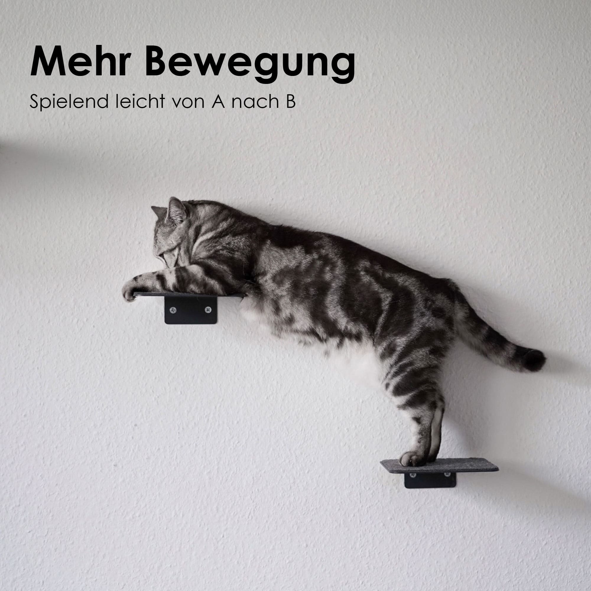 LucyBalu Katzen-Kletterwand Katzentreppe, Katzen Kletterwand, Katzenleiter, Katzenstufen, 3er Set, Pulverbeschichtetes Stahlblech mit Filzauflagen