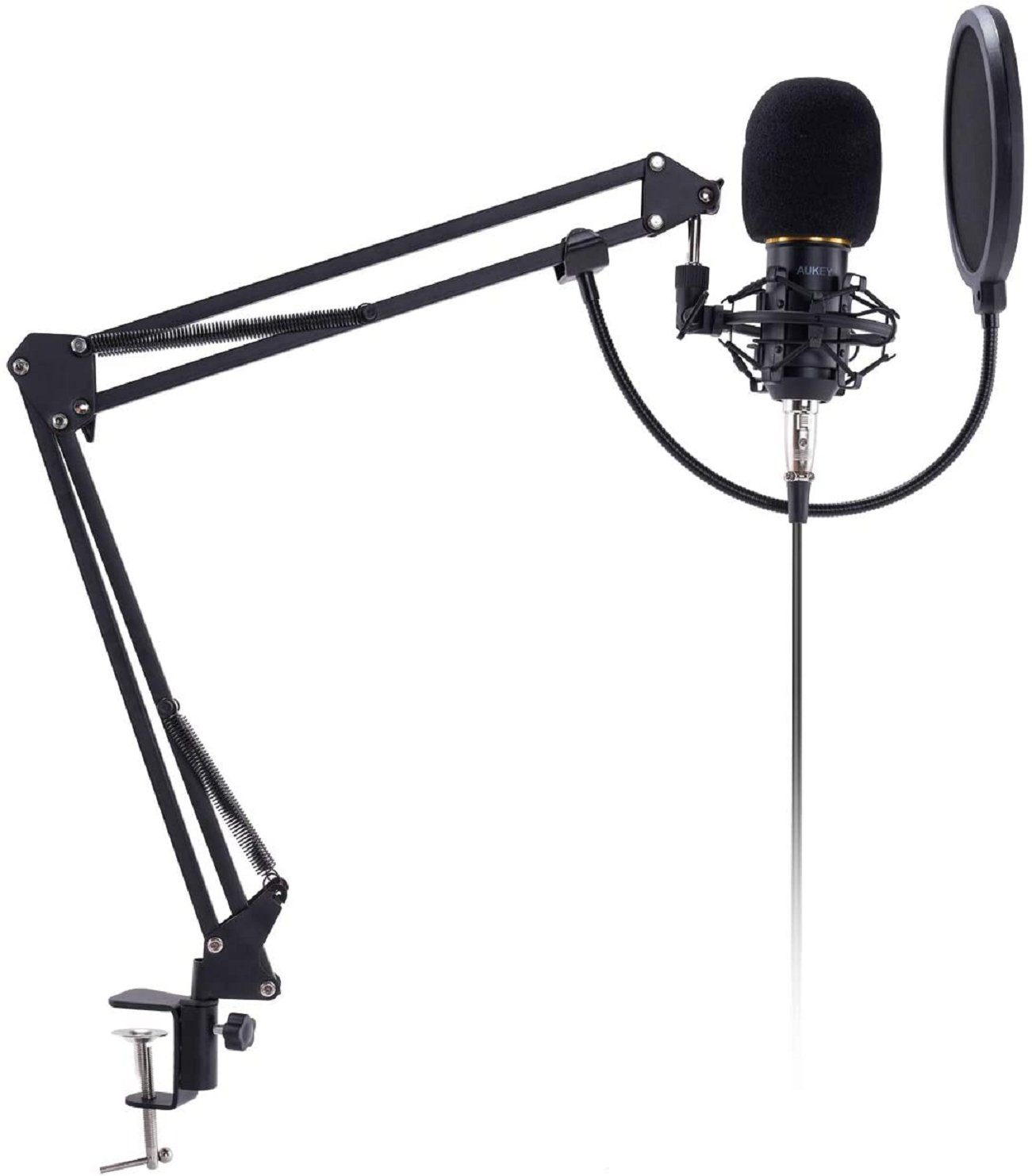 NAIPO Standmikrofon GD-G2, USB Kondensator Mikrofon Set Pro mit Ständer