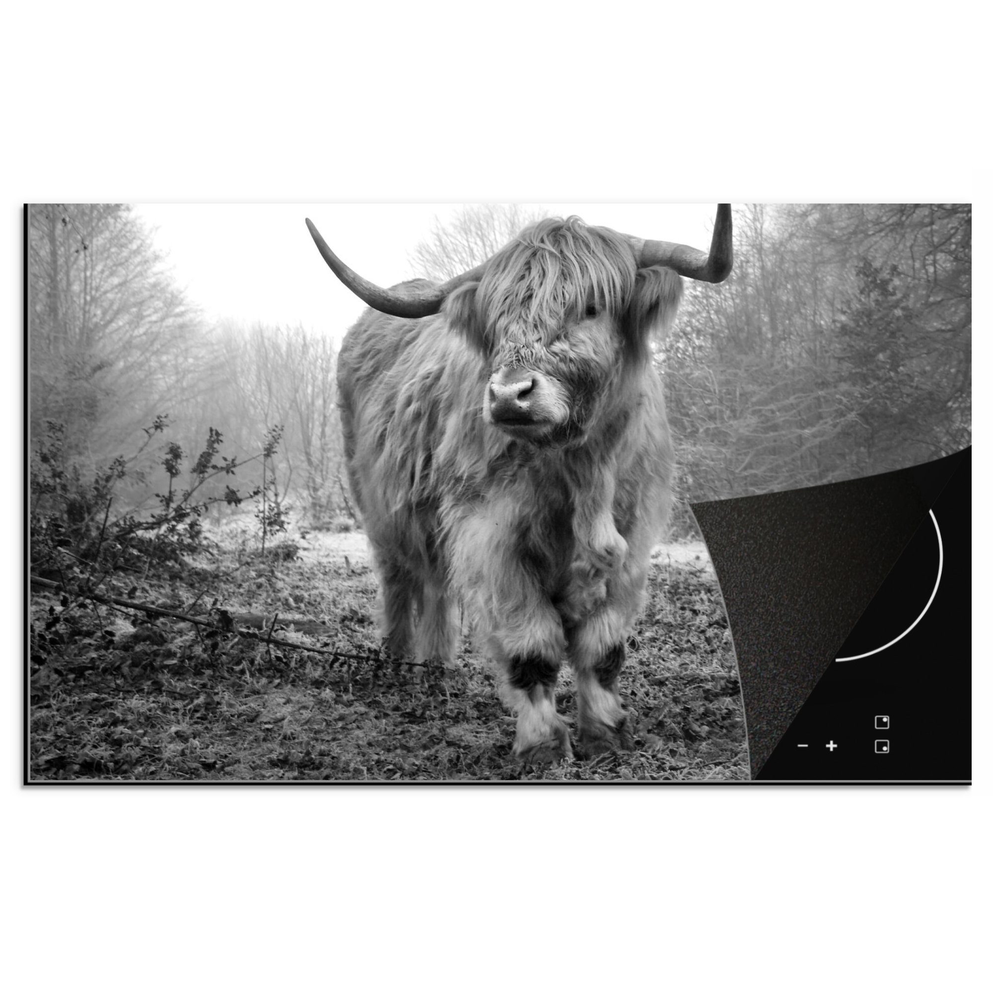 - - 83x51 Highlander Arbeitsplatte Natur Vinyl, für Wildtiere Ceranfeldabdeckung, - cm, Herbst Herdblende-/Abdeckplatte (1 Tiere tlg), Schottische - Wald, küche - MuchoWow