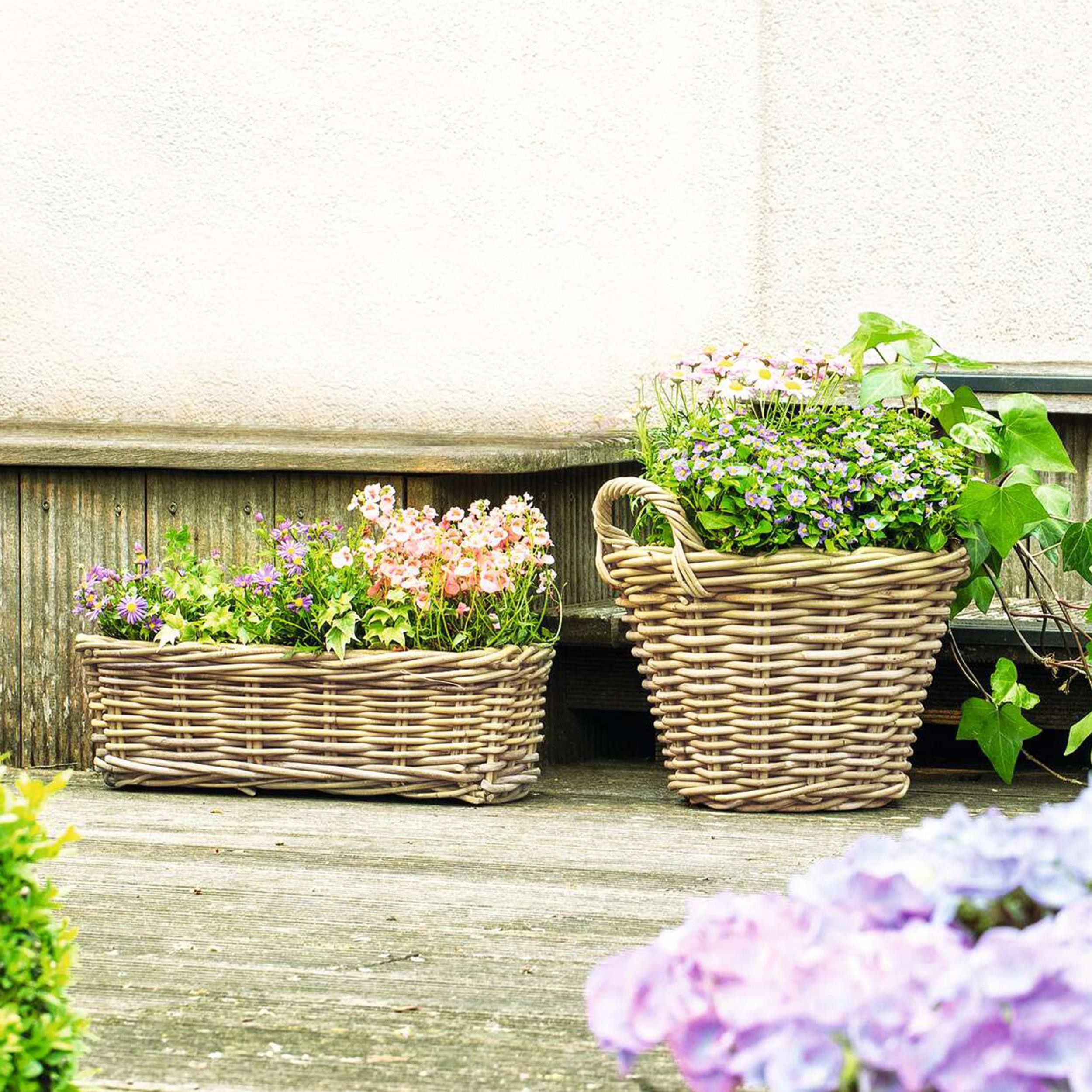 Frank Flechtwaren Blumenkasten Rattan Pflanzkasten Koboo günstig online kaufen