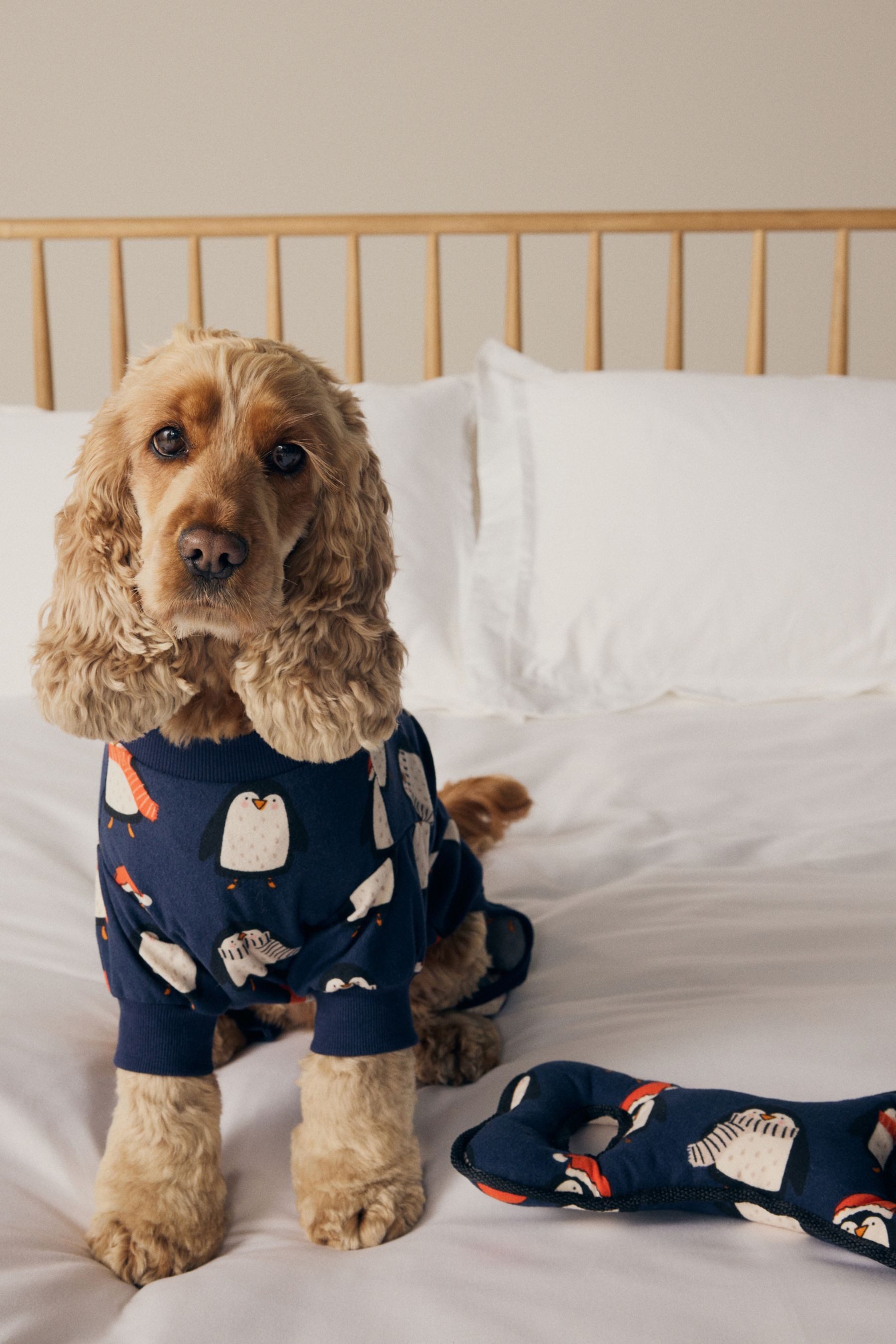 Next Hundeoverall Familien-Kollektion Hundepyjama