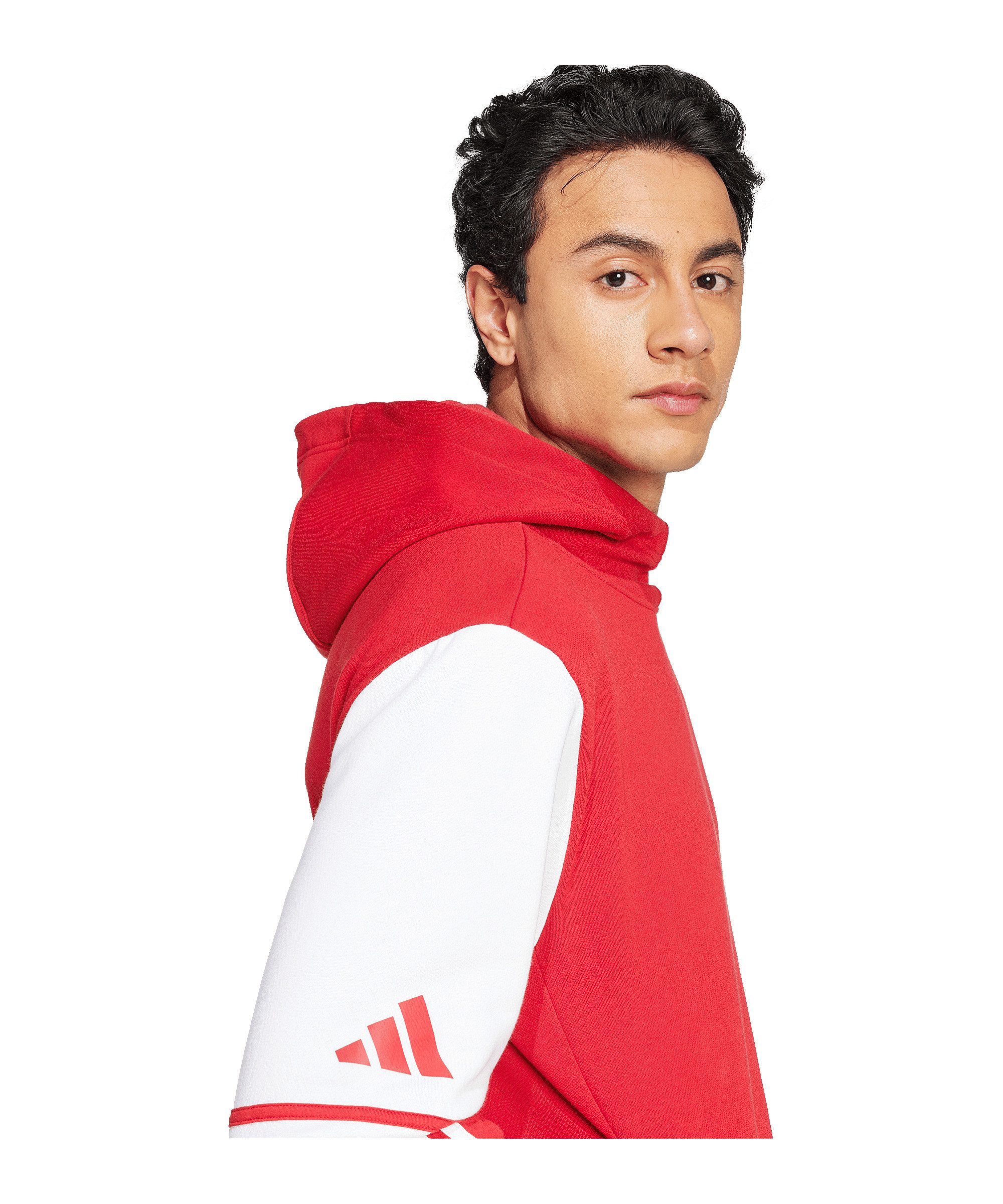 adidas Performance Sweatshirt adidas Performance Squadra 25 Hoody Baumwolle – Bild 4 von 5