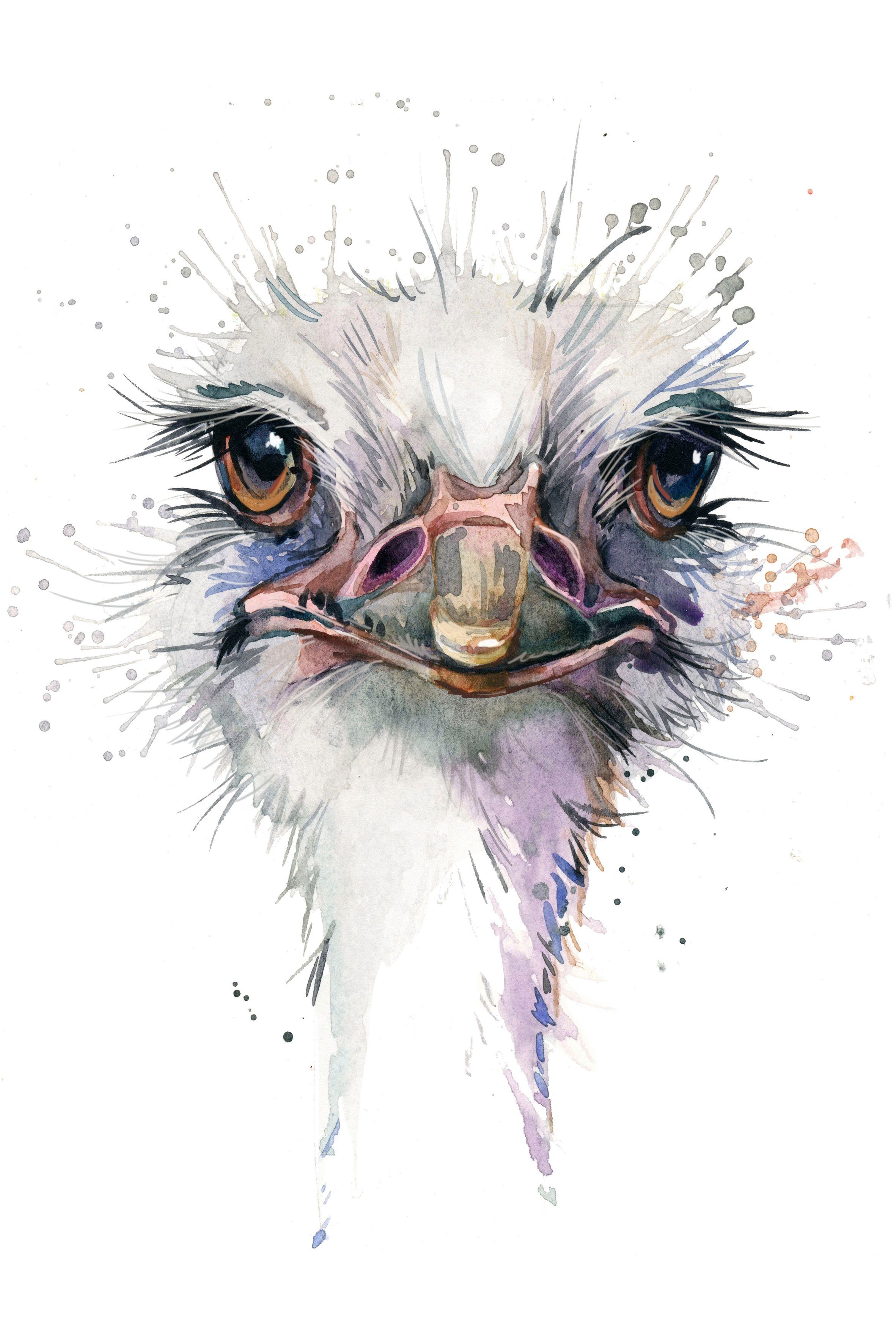 Leinwandbild Vogelstrauss