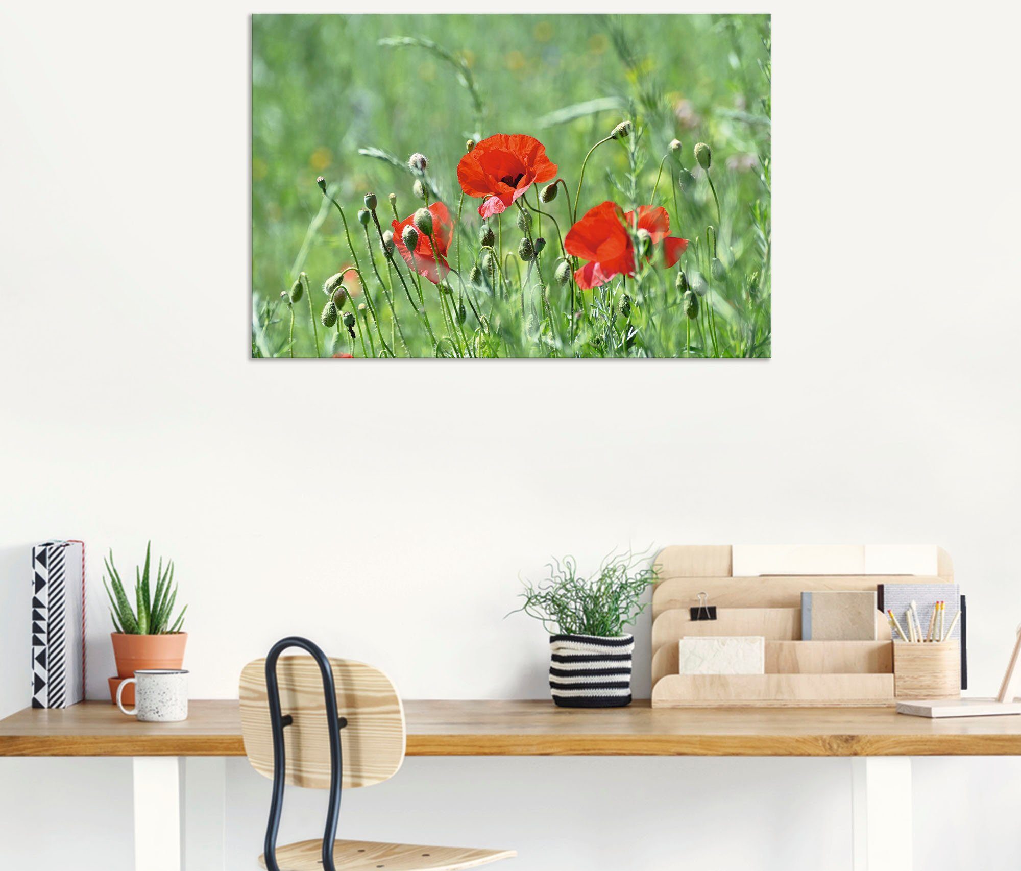 Leinwandbild, Größen St), Wandbild Gras, oder Mohnblumen in Blumenbilder (1 Poster Wandaufkleber als Artland versch. im Alubild,