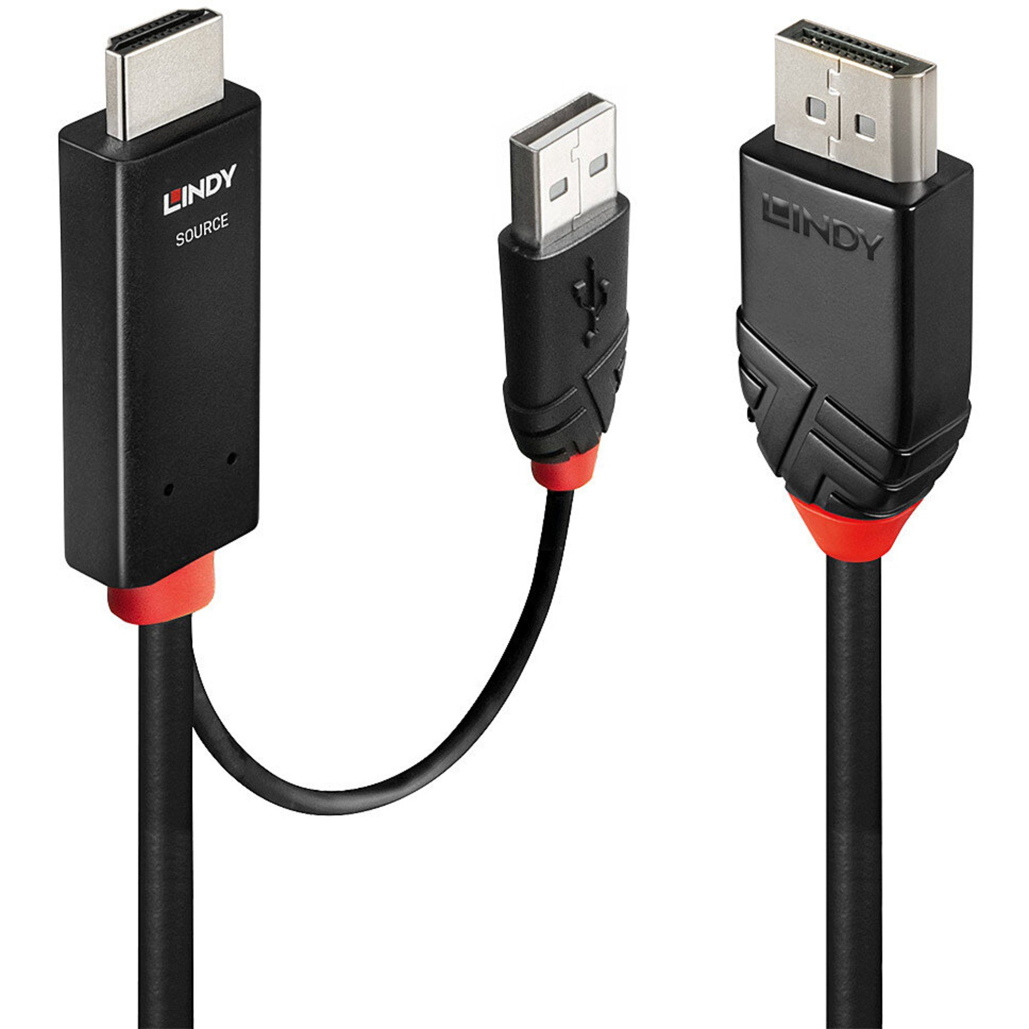 Lindy Lindy Адаптериkabel HDMI > DisplayPort, Kabel, (1 Video-Kabel