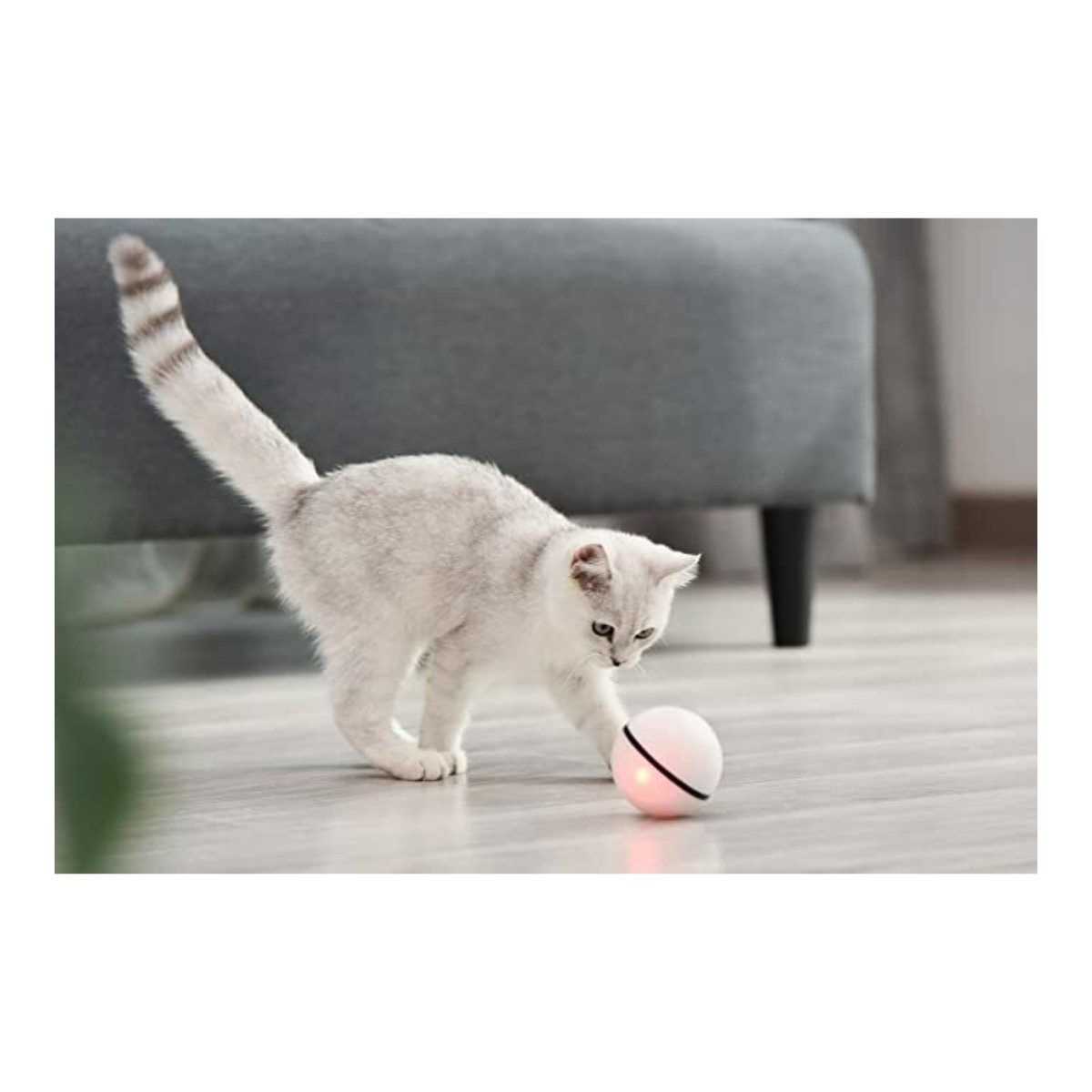 Dogness Spiel DOGNESS LED Katzenspielball selbstrollend mit Vogelstimmen Weiß, Katzen Spielball Katzenspielzeug PRO