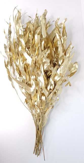 Trockenblume »The Golden Euca«, Everflowers, Höhe 50 cm-Otto