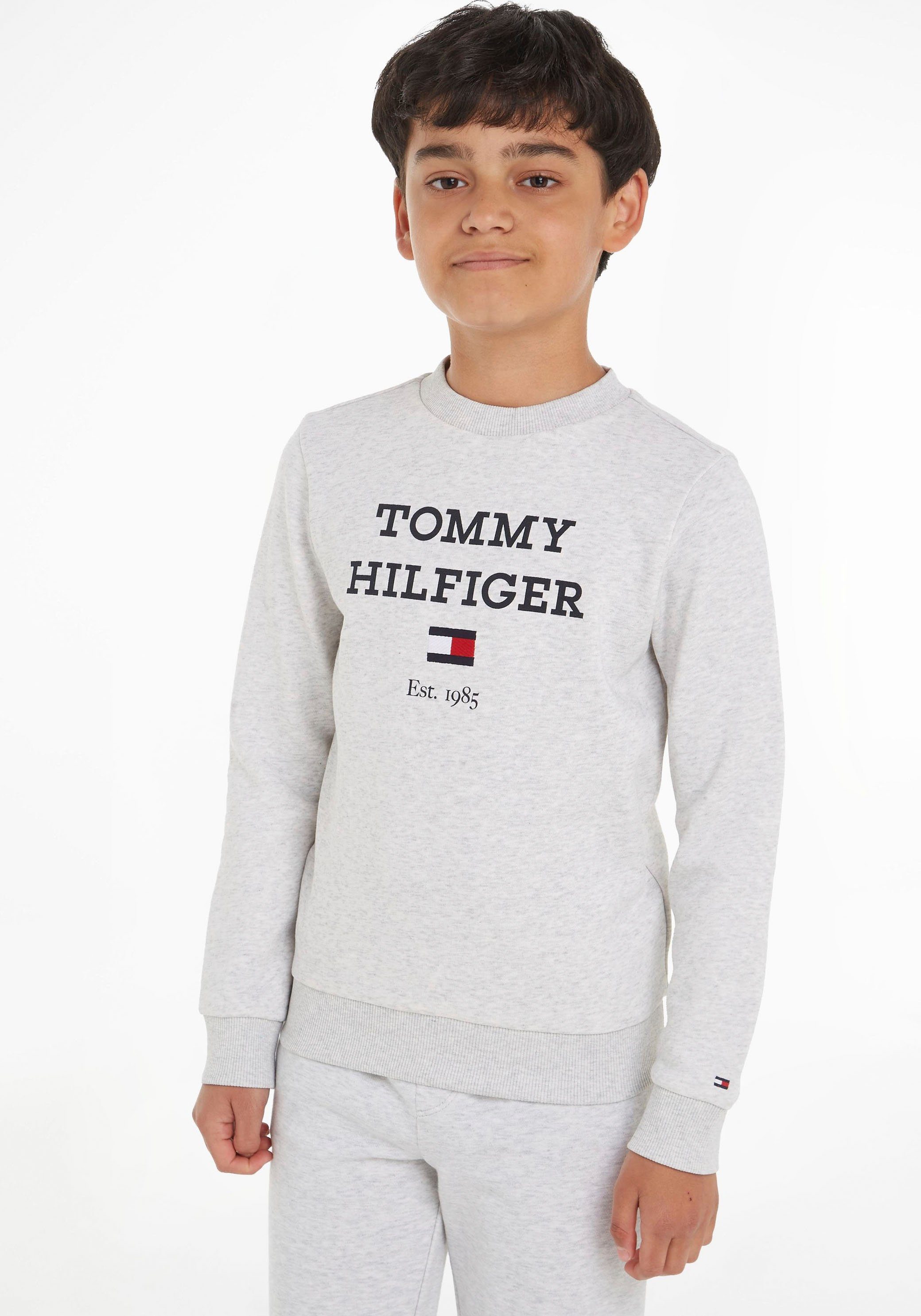Tommy Hilfiger Sweatshirt TH LOGO SWEATSHIRT mit großem Logo light grey