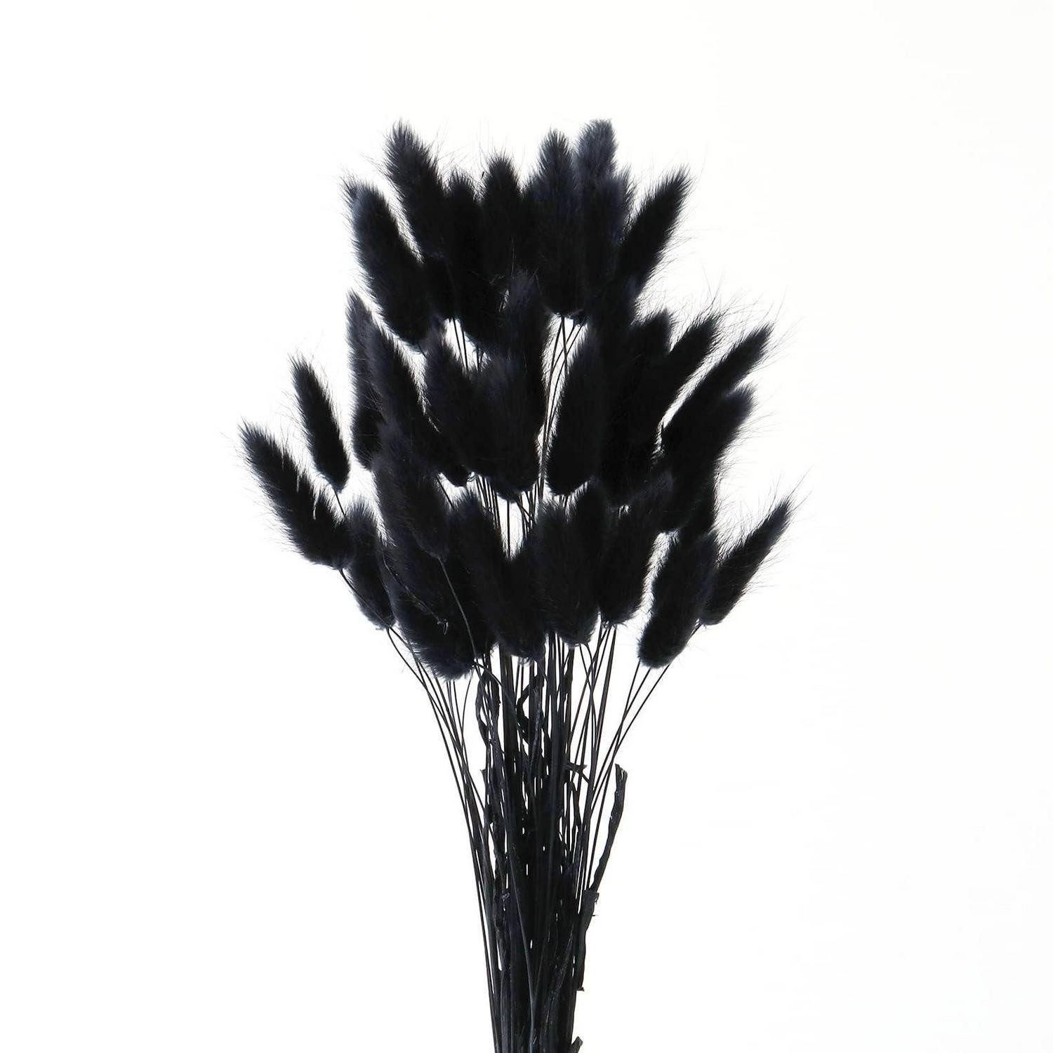 Trockenblume 50 Stk Pampasgras Schwarz 25-40cm Natürliche Trockenblumen, LuxusKollektion, Höhe 10 cm
