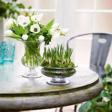 HOLMEGAARD Tischvase klare Blumenschale Old English / Dekoschale aus mundgeblasenem Glas