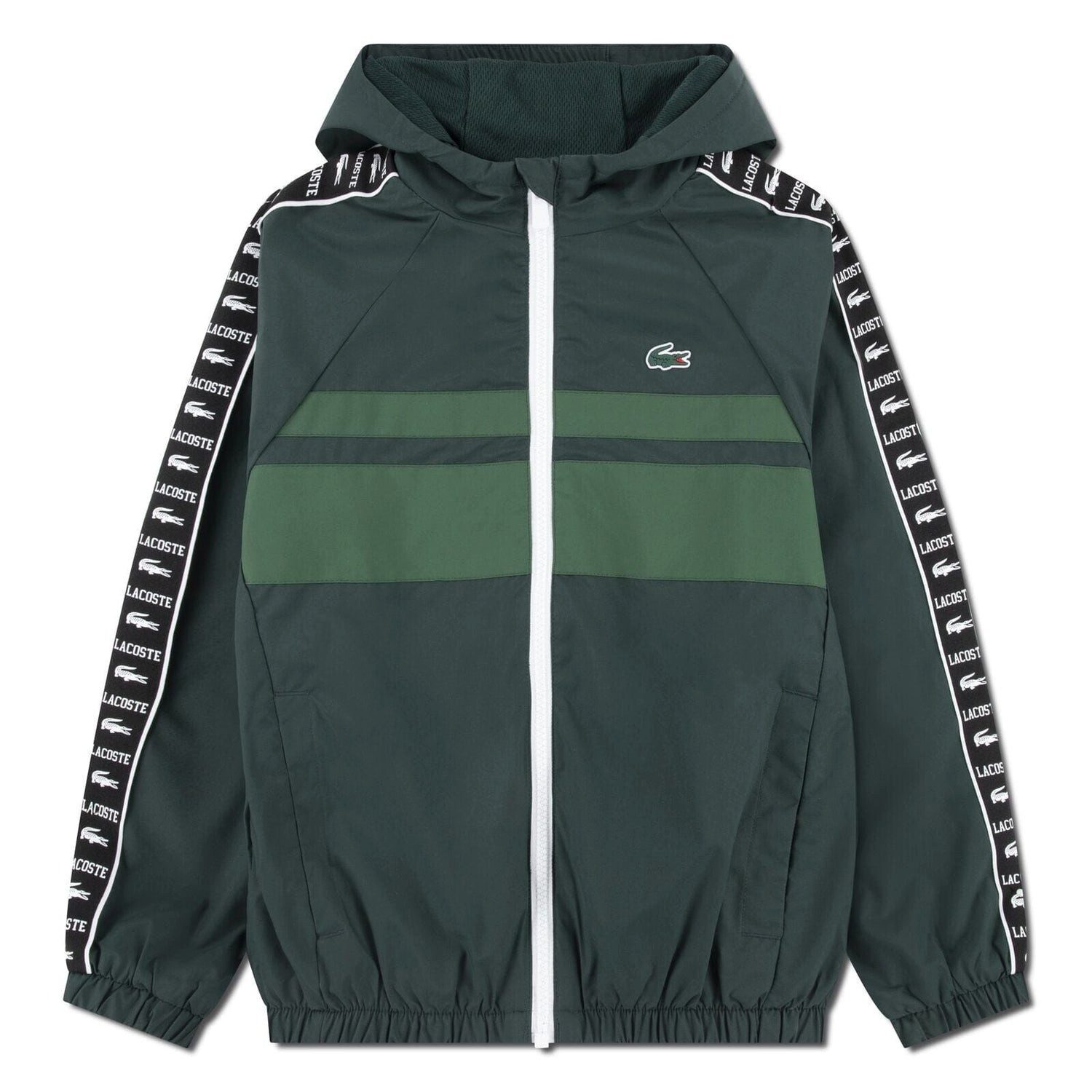 Lacoste Steppjacke Lacoste Kids Jacke grün mit Kapuze leicht, mit Logostreifen