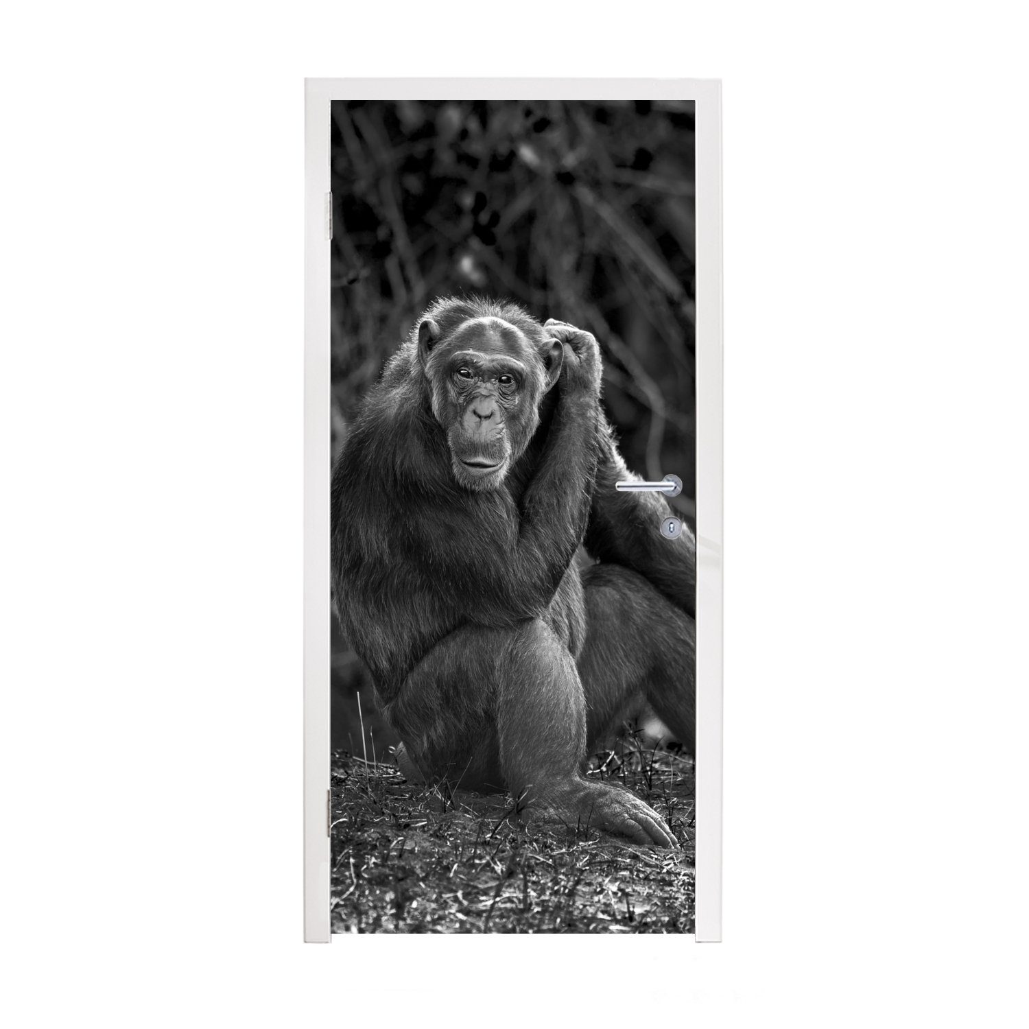 MuchoWow Türtapete Tierprofil sitzender Schimpanse in schwarz und weiß, Matt, bedruckt, (1 St), Fototapete für Tür, Türaufkleber, 75x205 cm